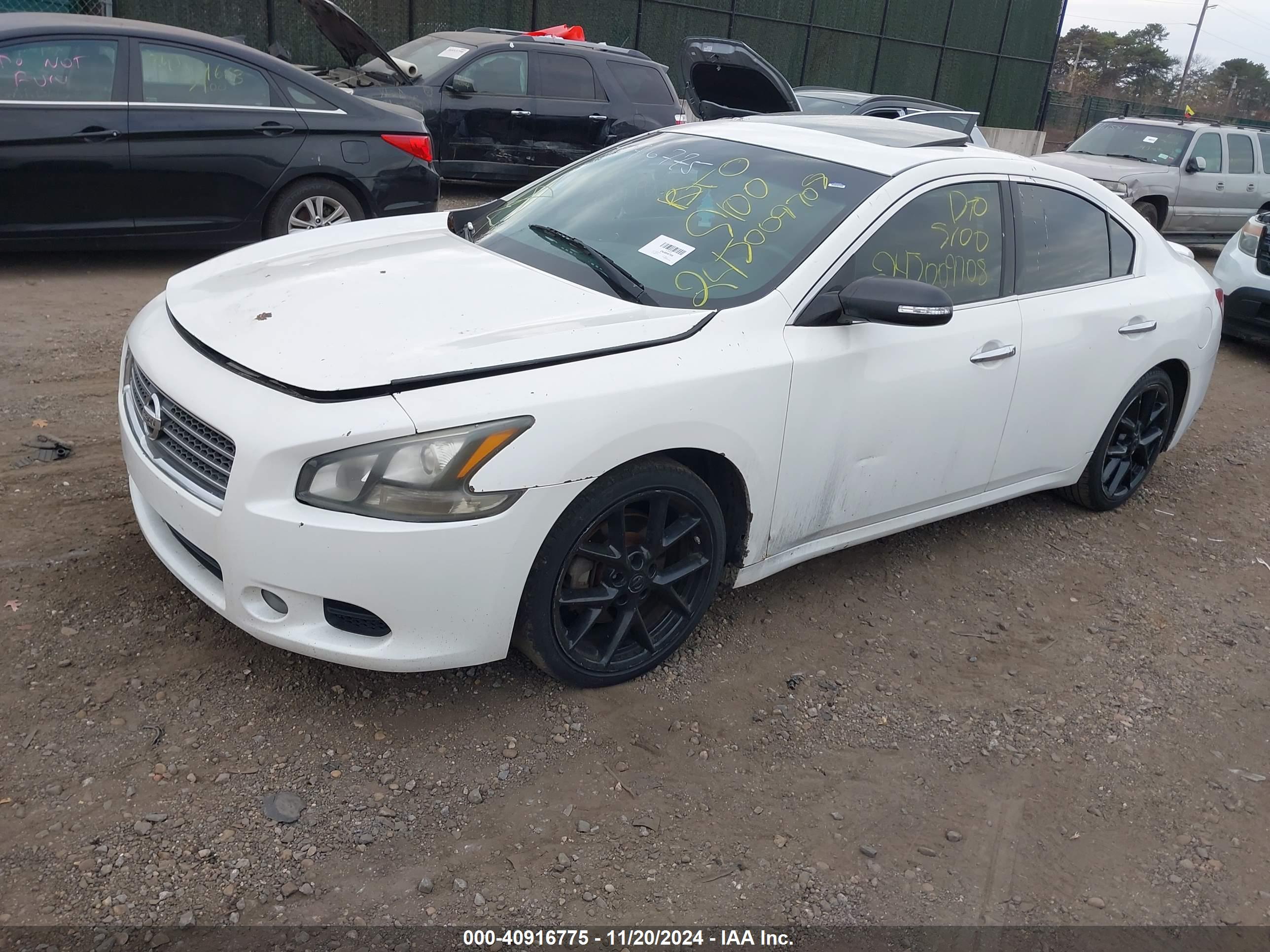 NISSAN MAXIMA image 2
