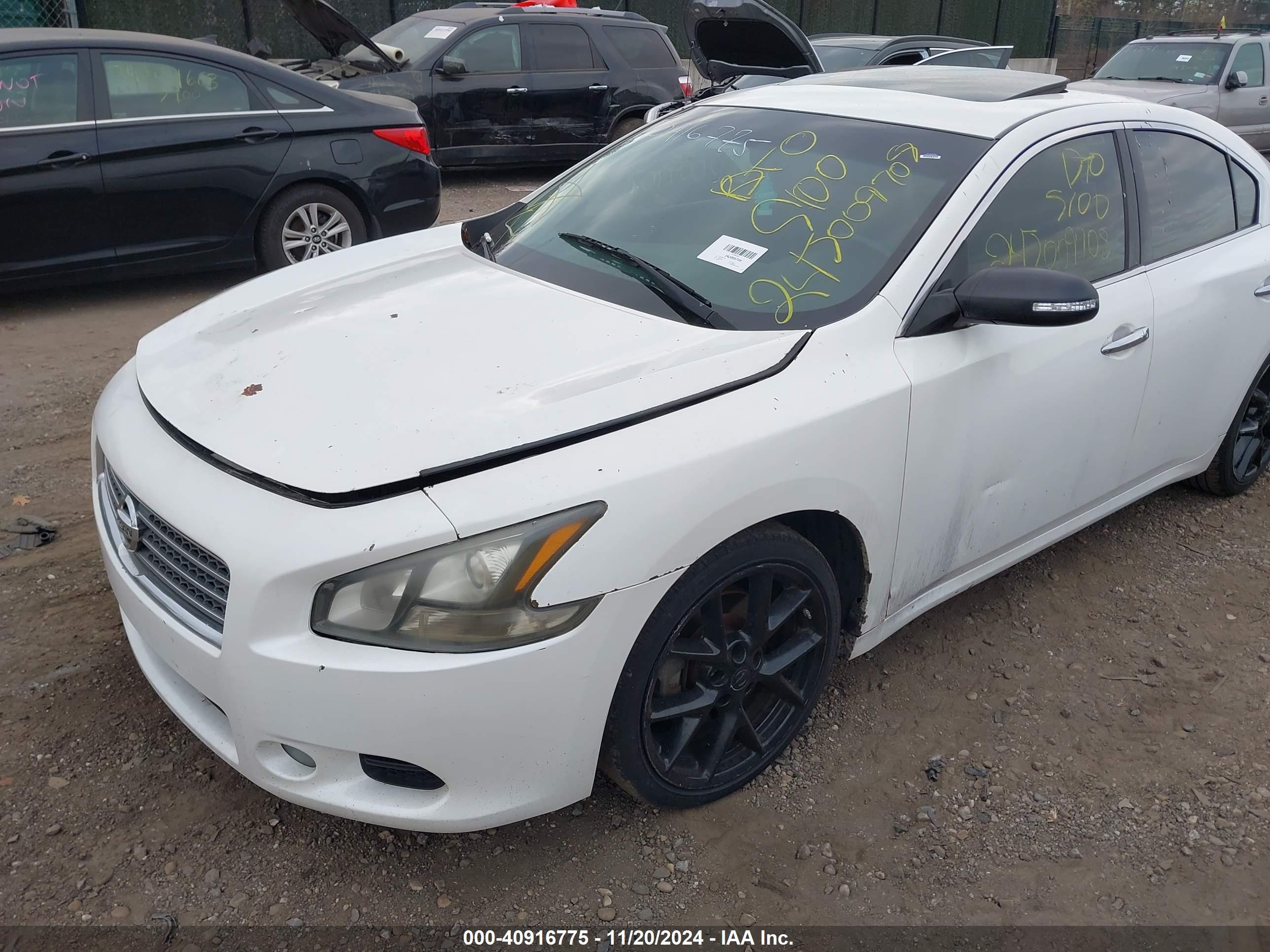 NISSAN MAXIMA image 6