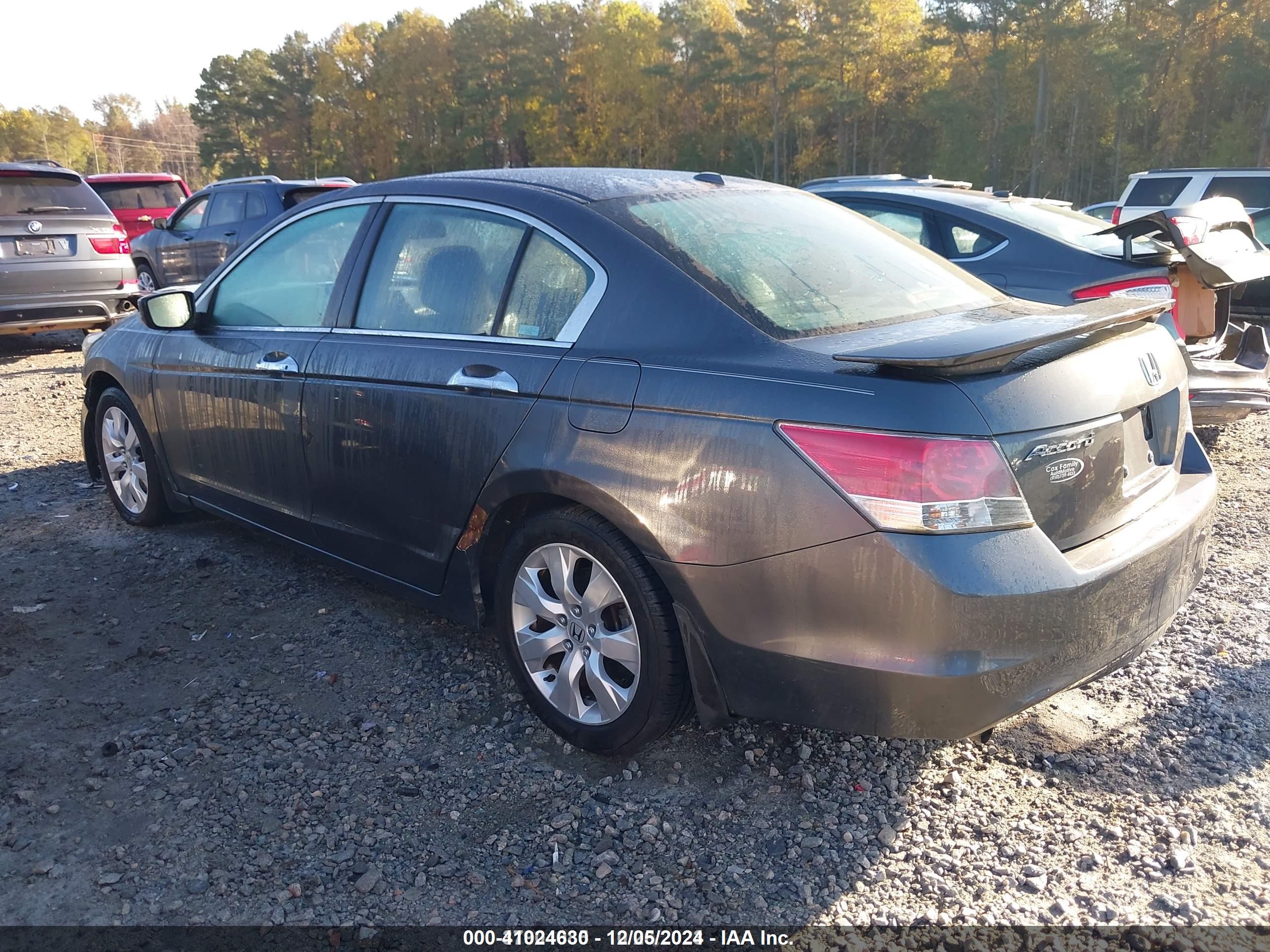 HONDA ACCORD image 3