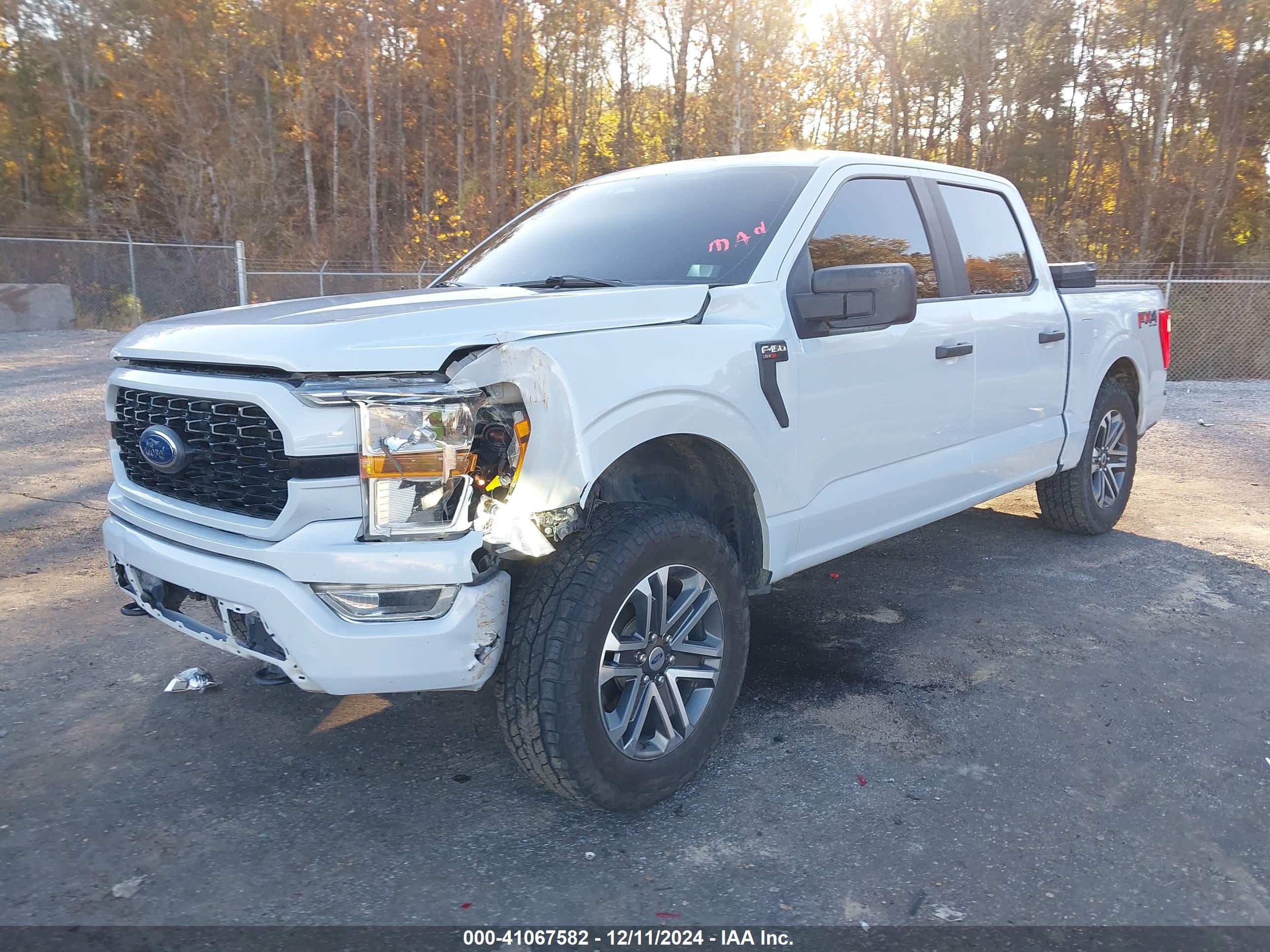 FORD F-150 image 2