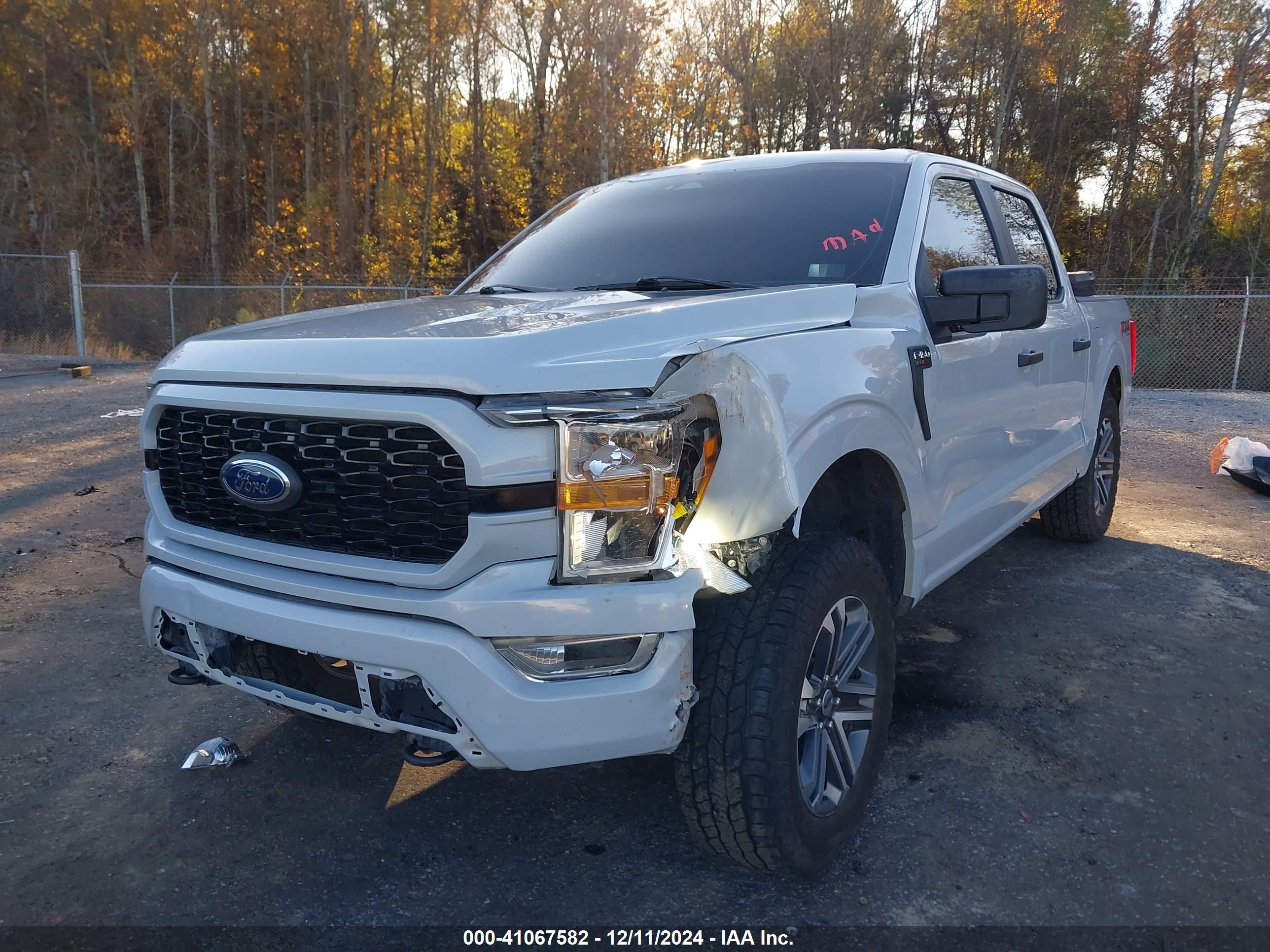 FORD F-150 image 6