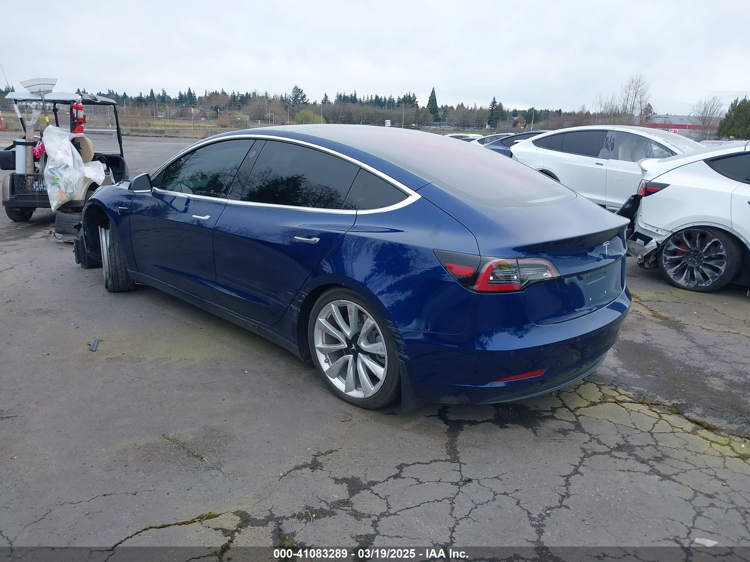 TESLA MODEL image 3