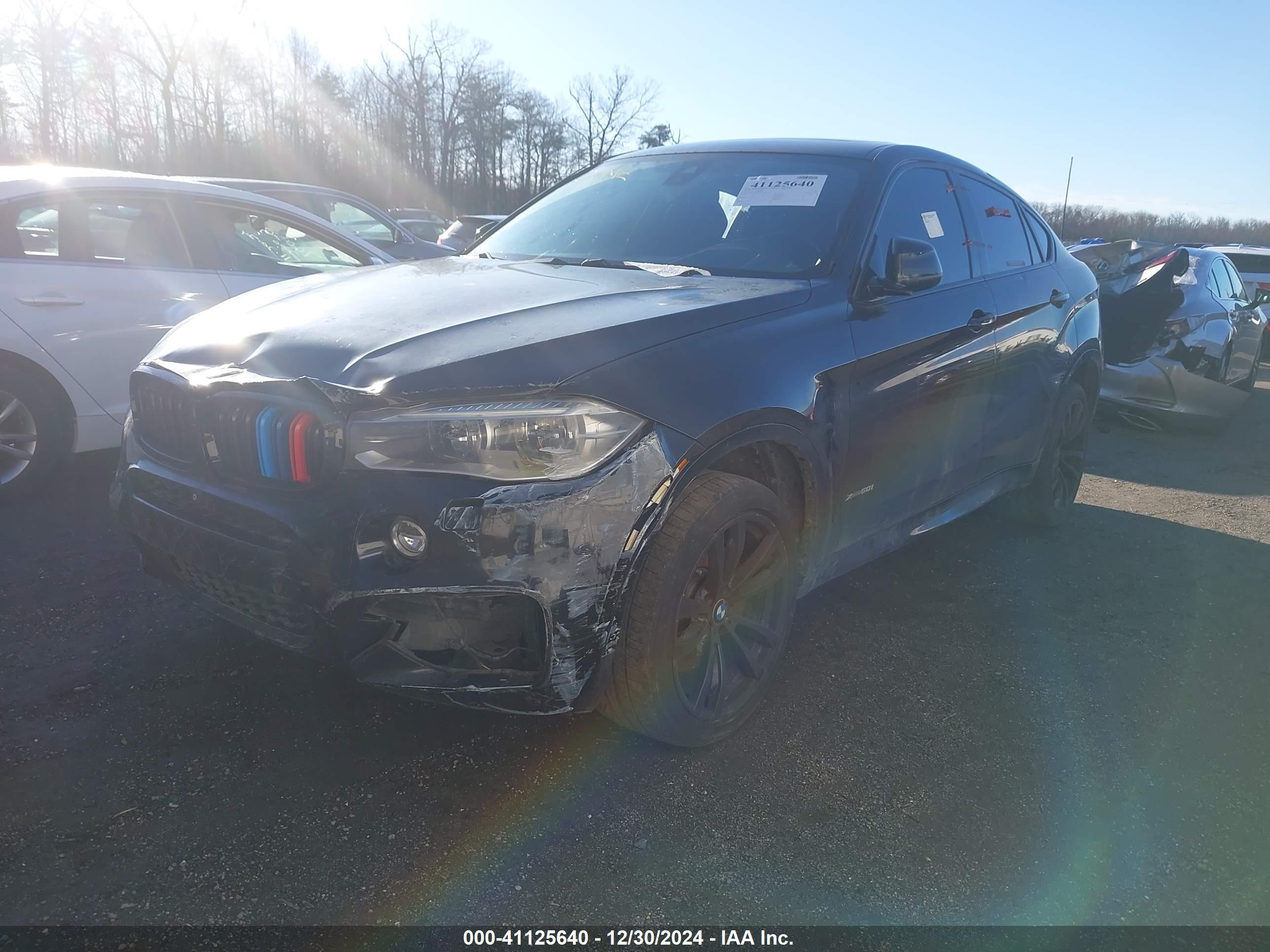 BMW X6 image 2