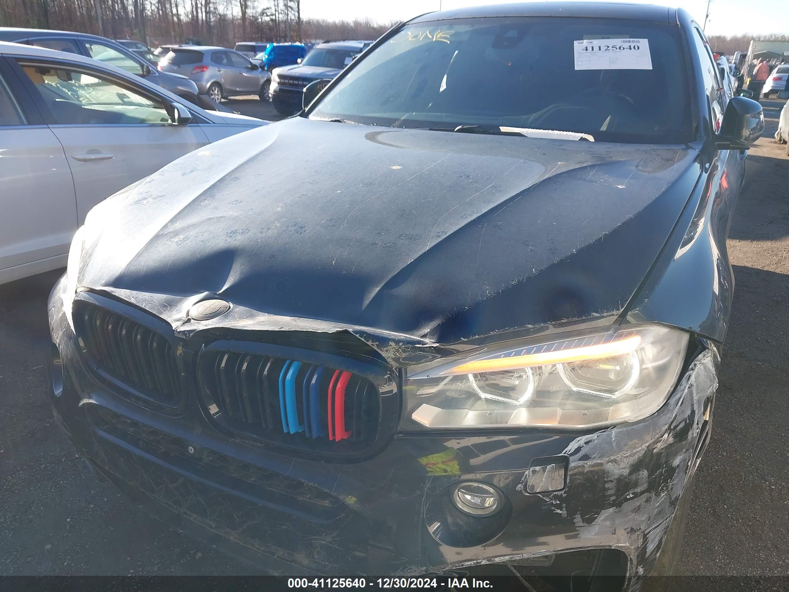 BMW X6 image 6