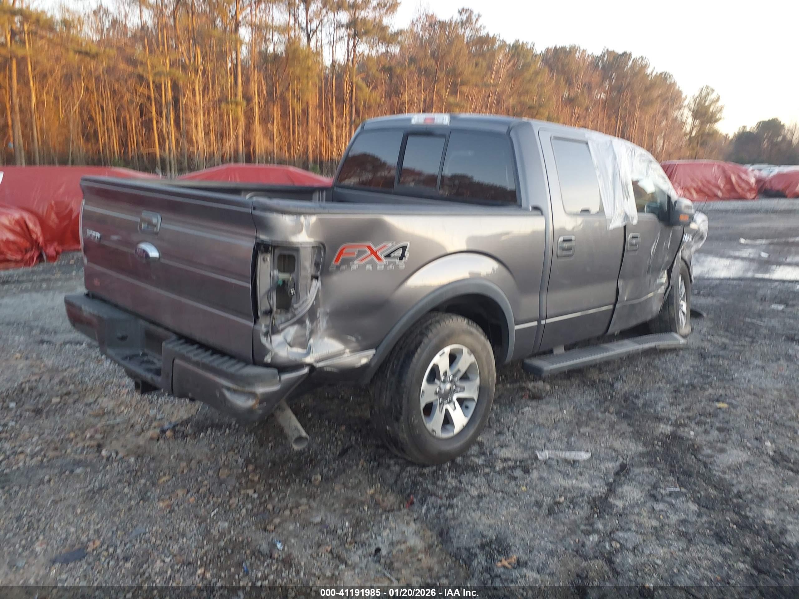 FORD F-150 image 4