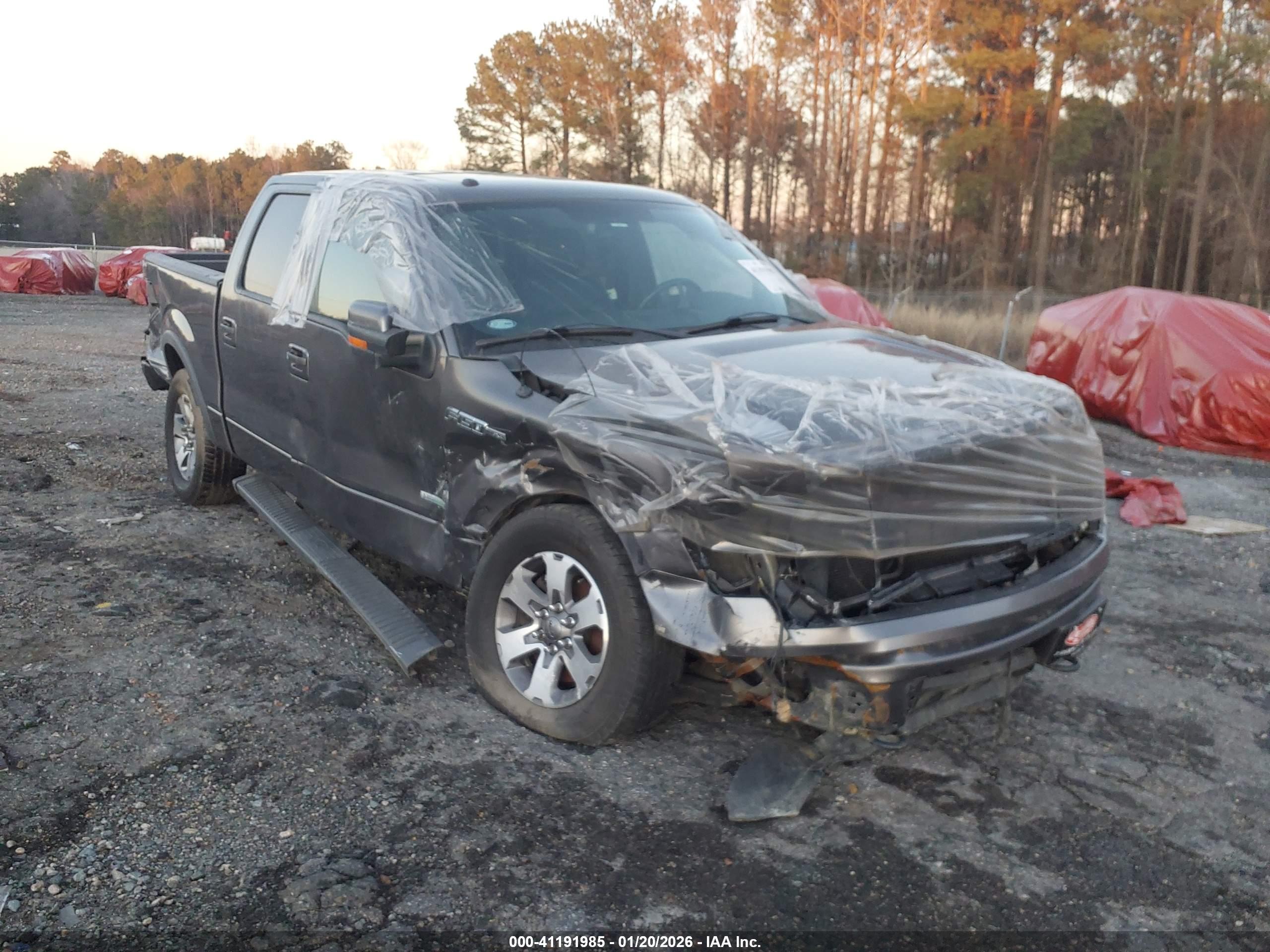FORD F-150 image 6