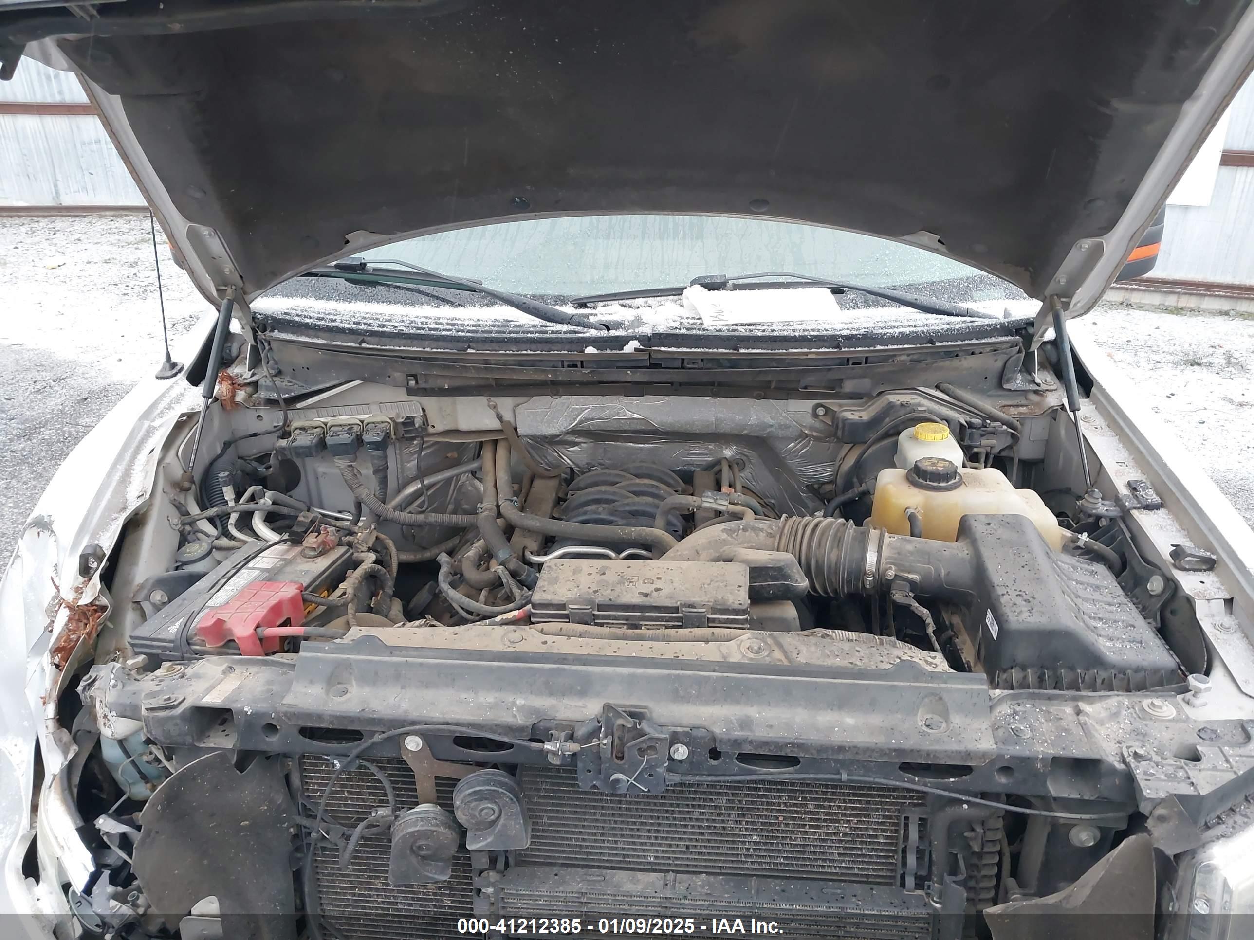 FORD F-150 image 10