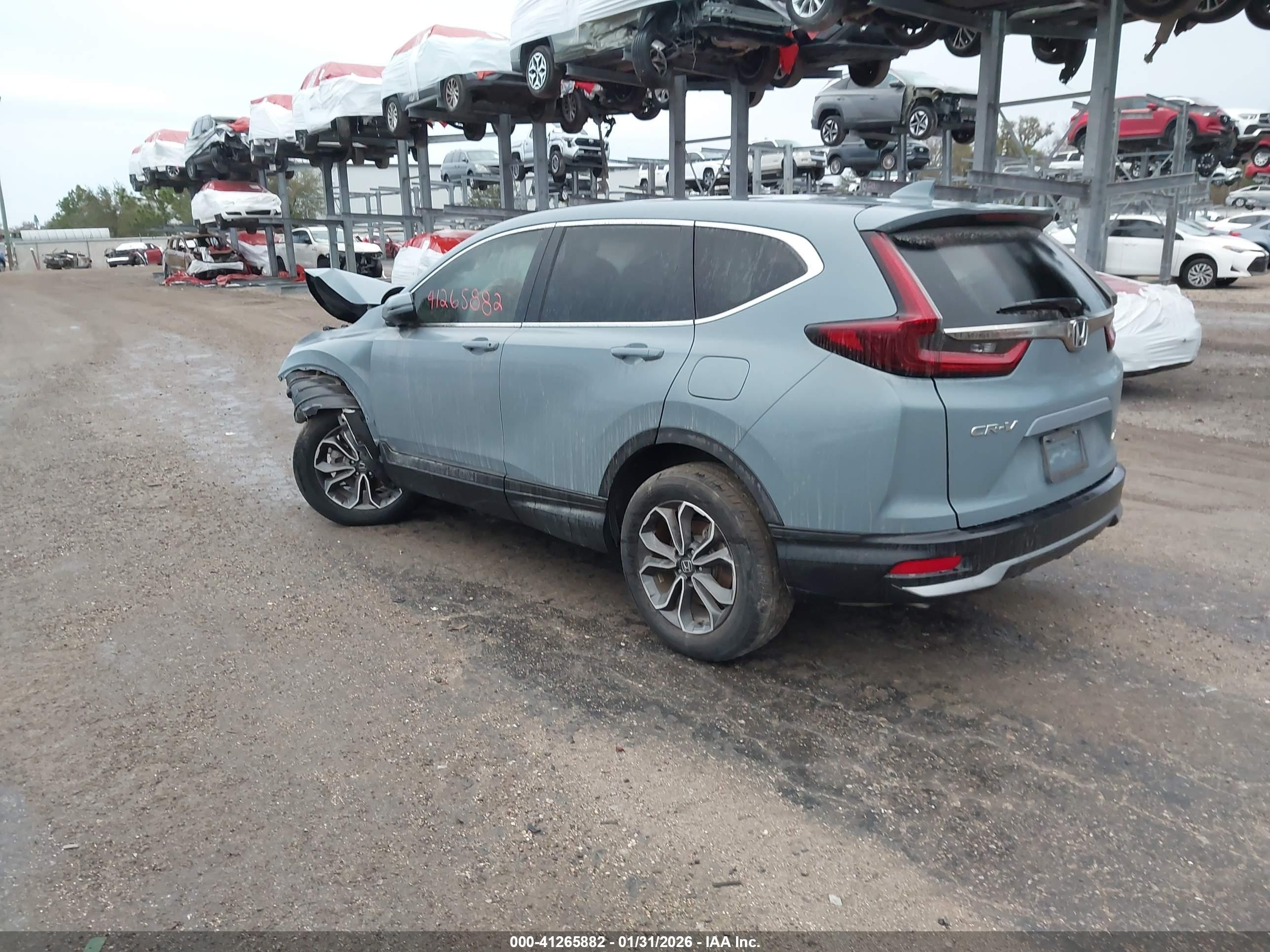 HONDA CR-V image 3