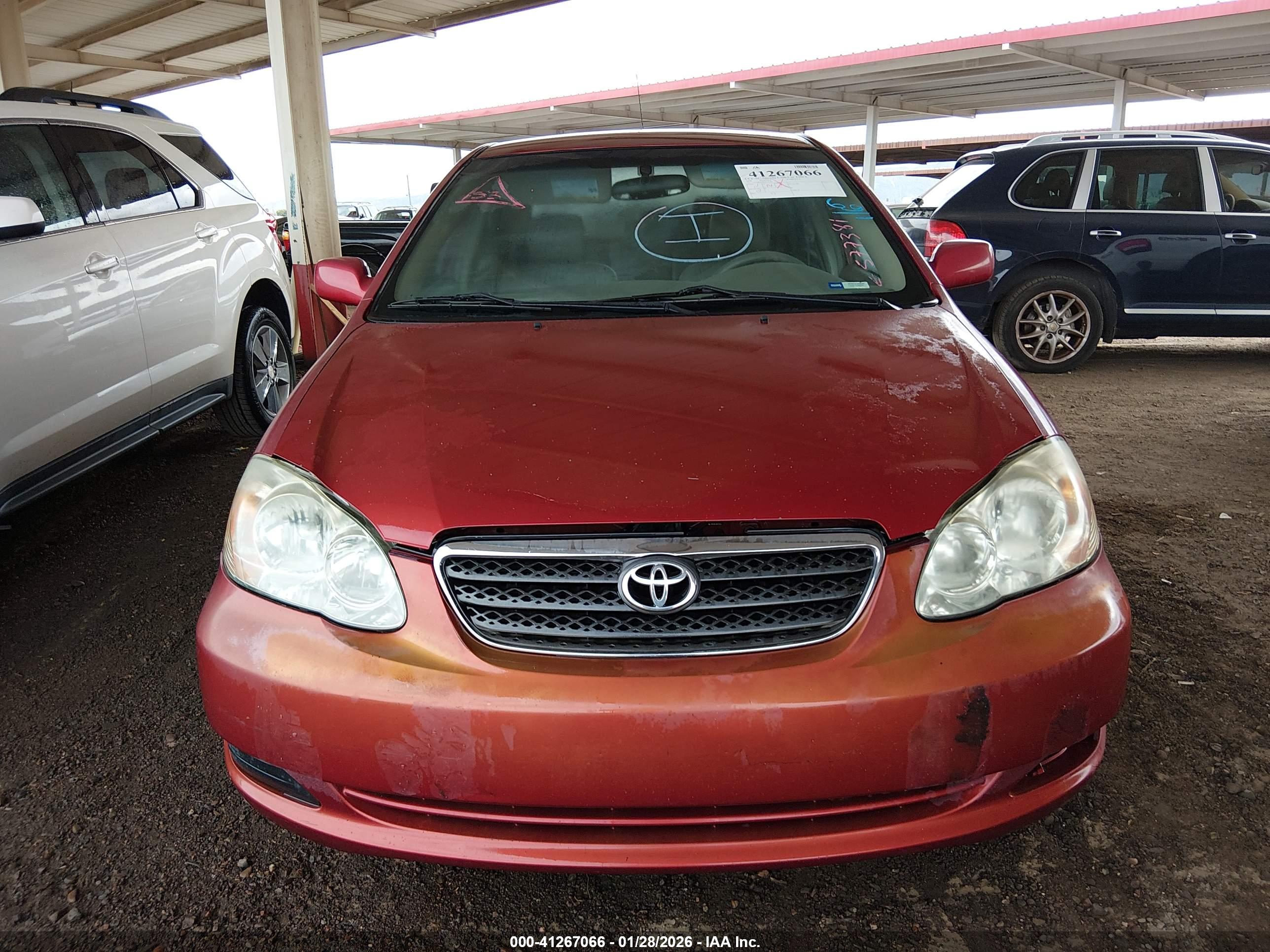 TOYOTA COROLLA image 6