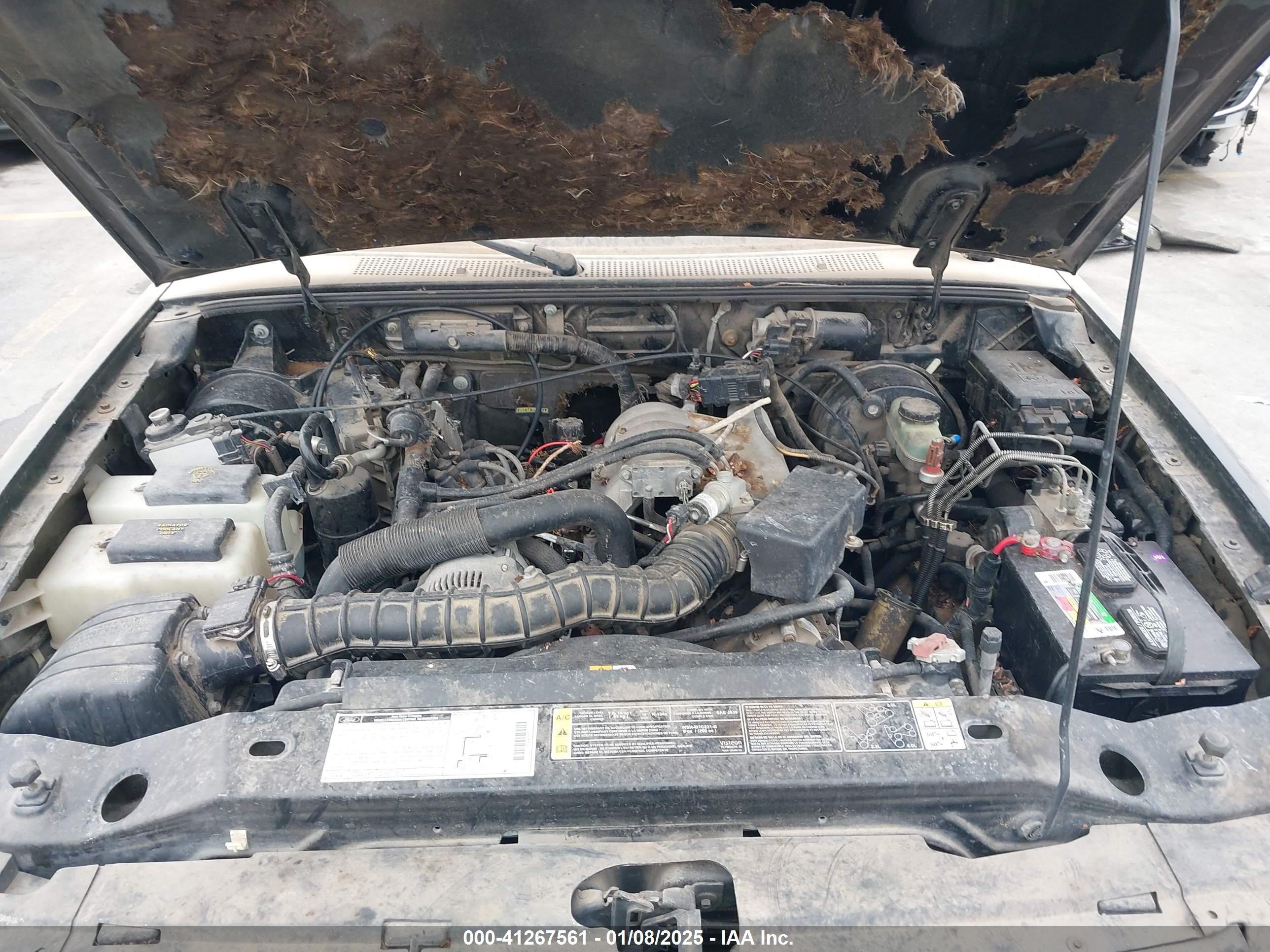 FORD RANGER image 10