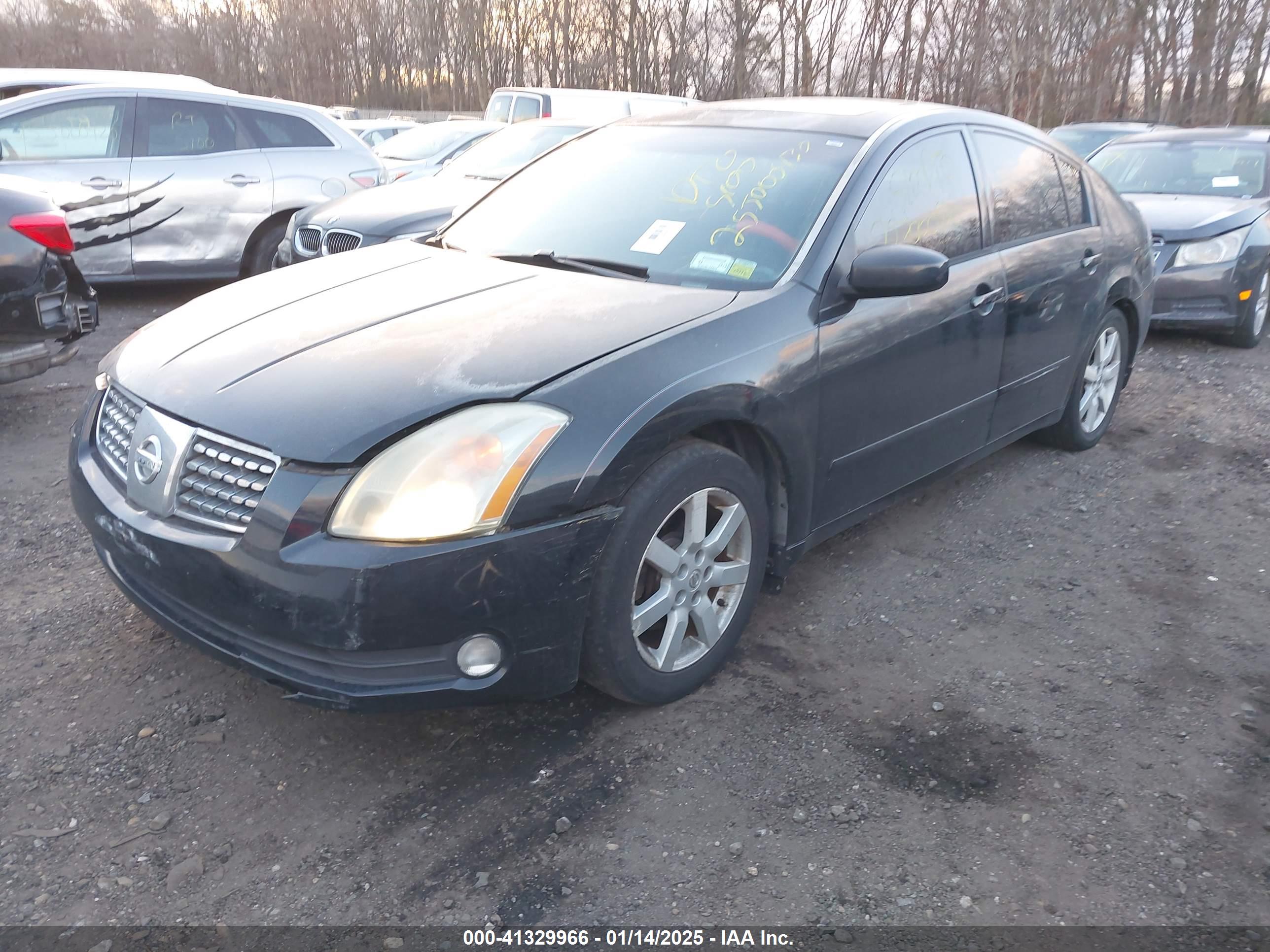 NISSAN MAXIMA image 2