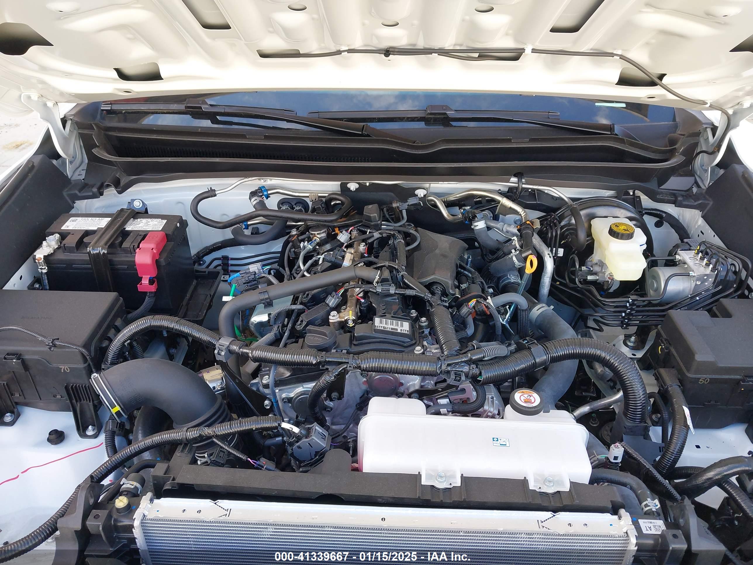 TOYOTA TACOMA image 10