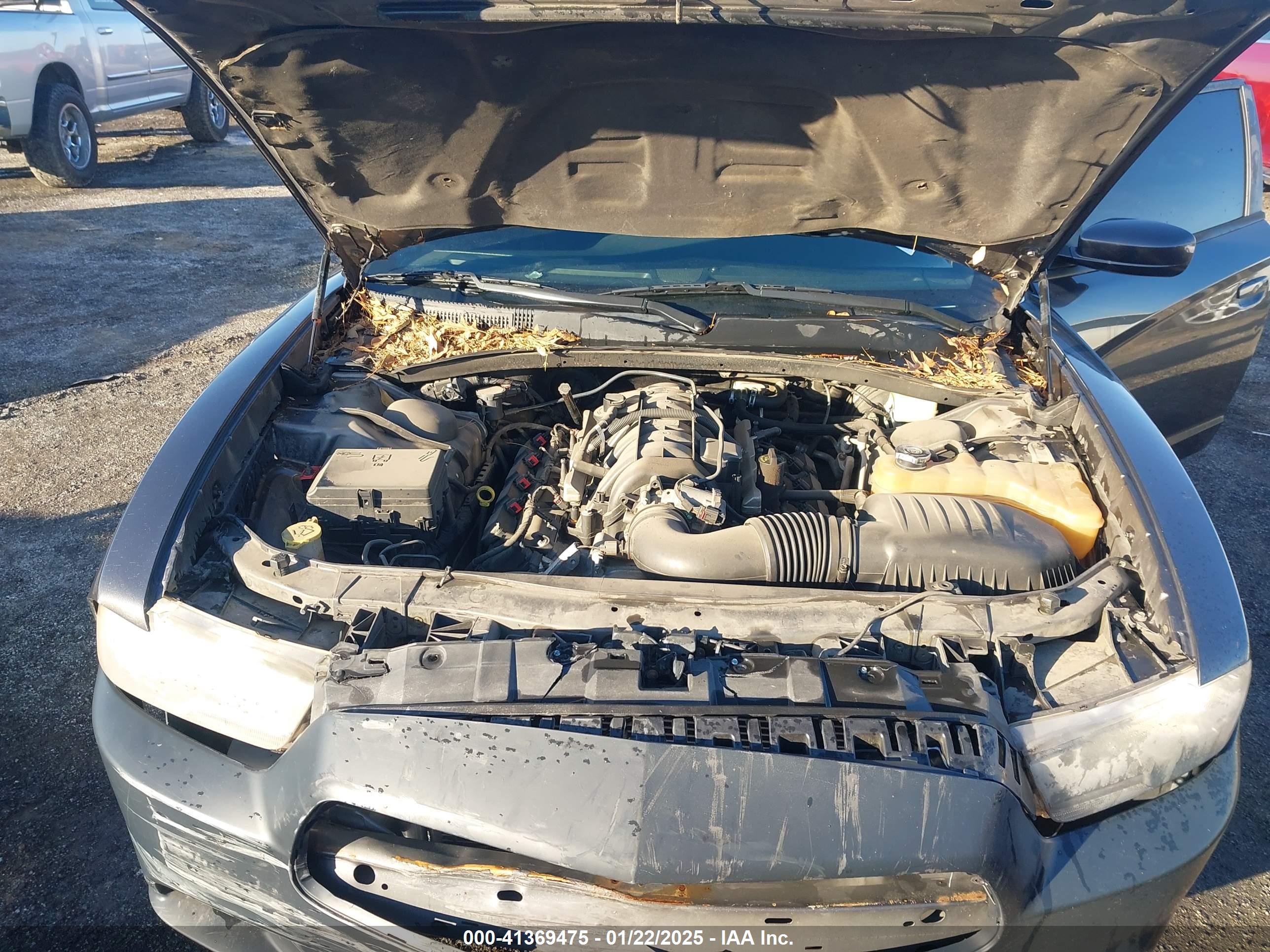 DODGE CHARGER image 10