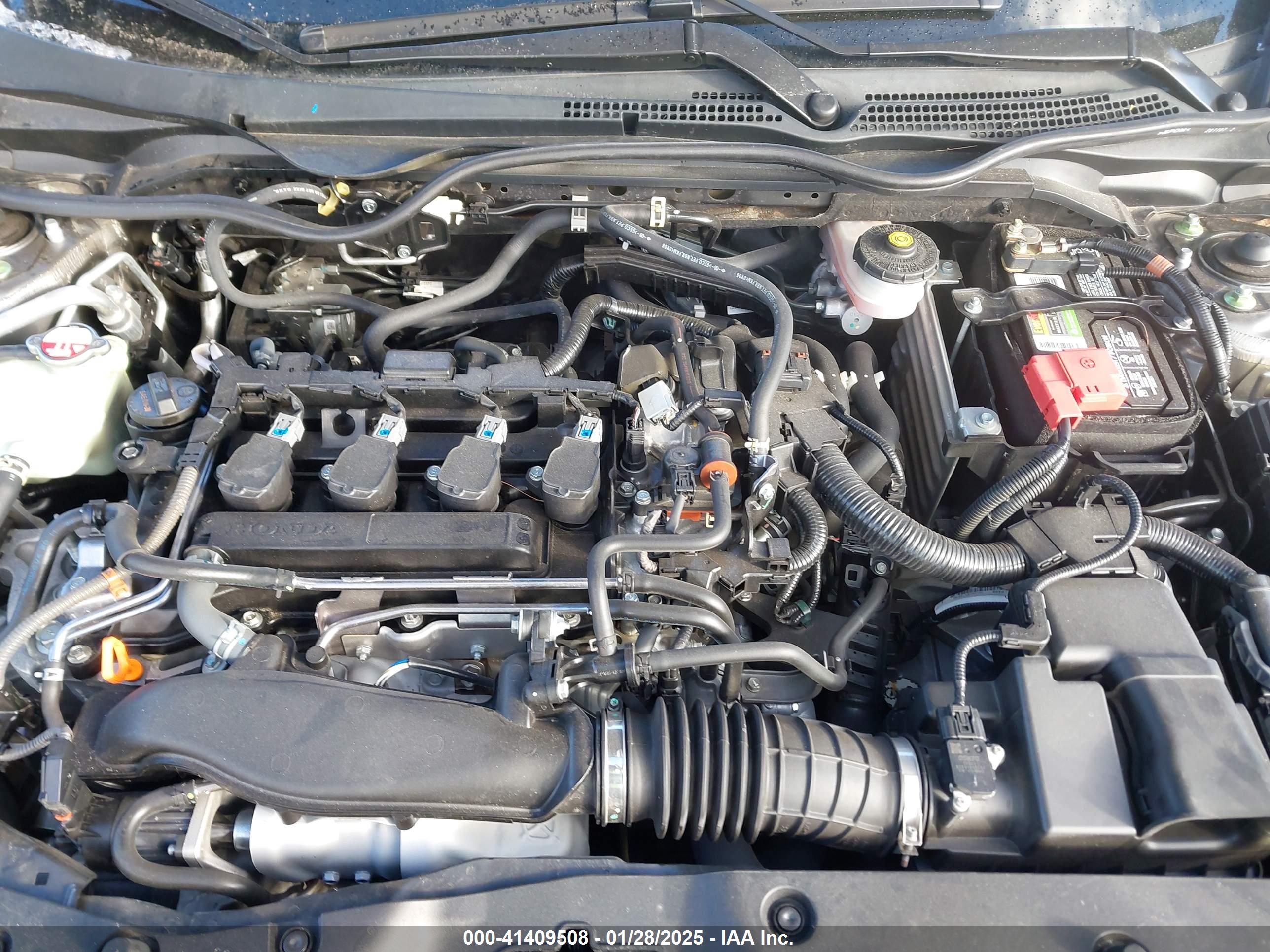 HONDA CIVIC image 10