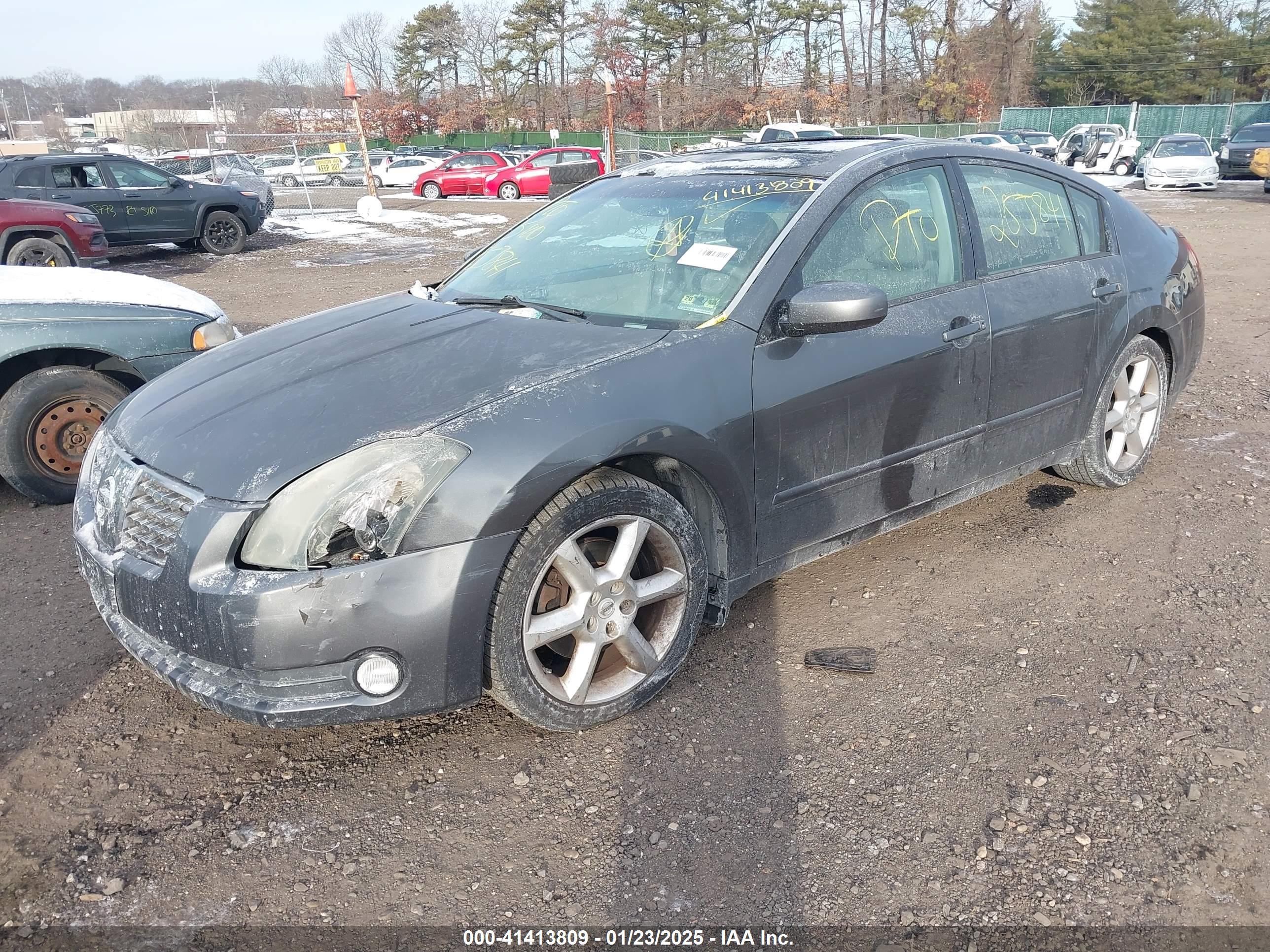 NISSAN MAXIMA image 2