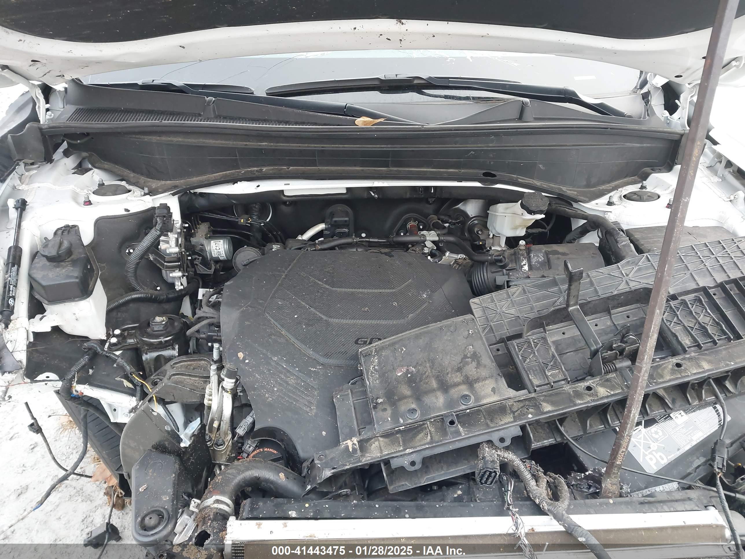 HYUNDAI PALISADE image 10