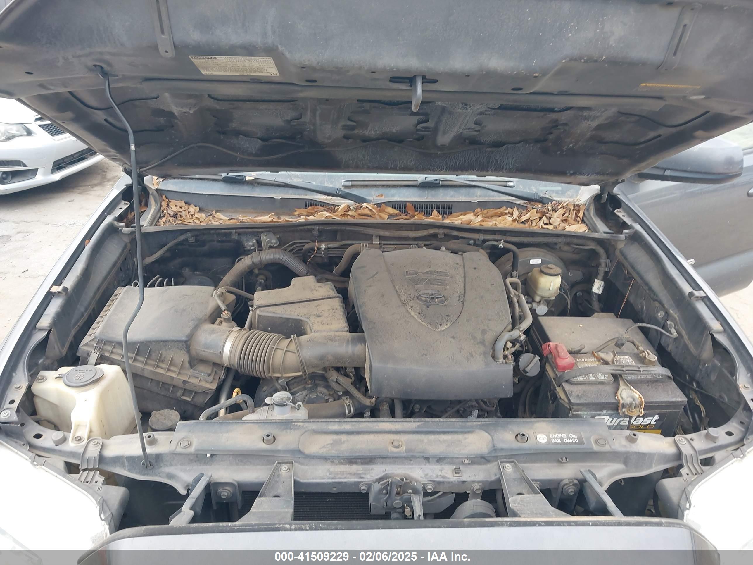 TOYOTA TACOMA image 10