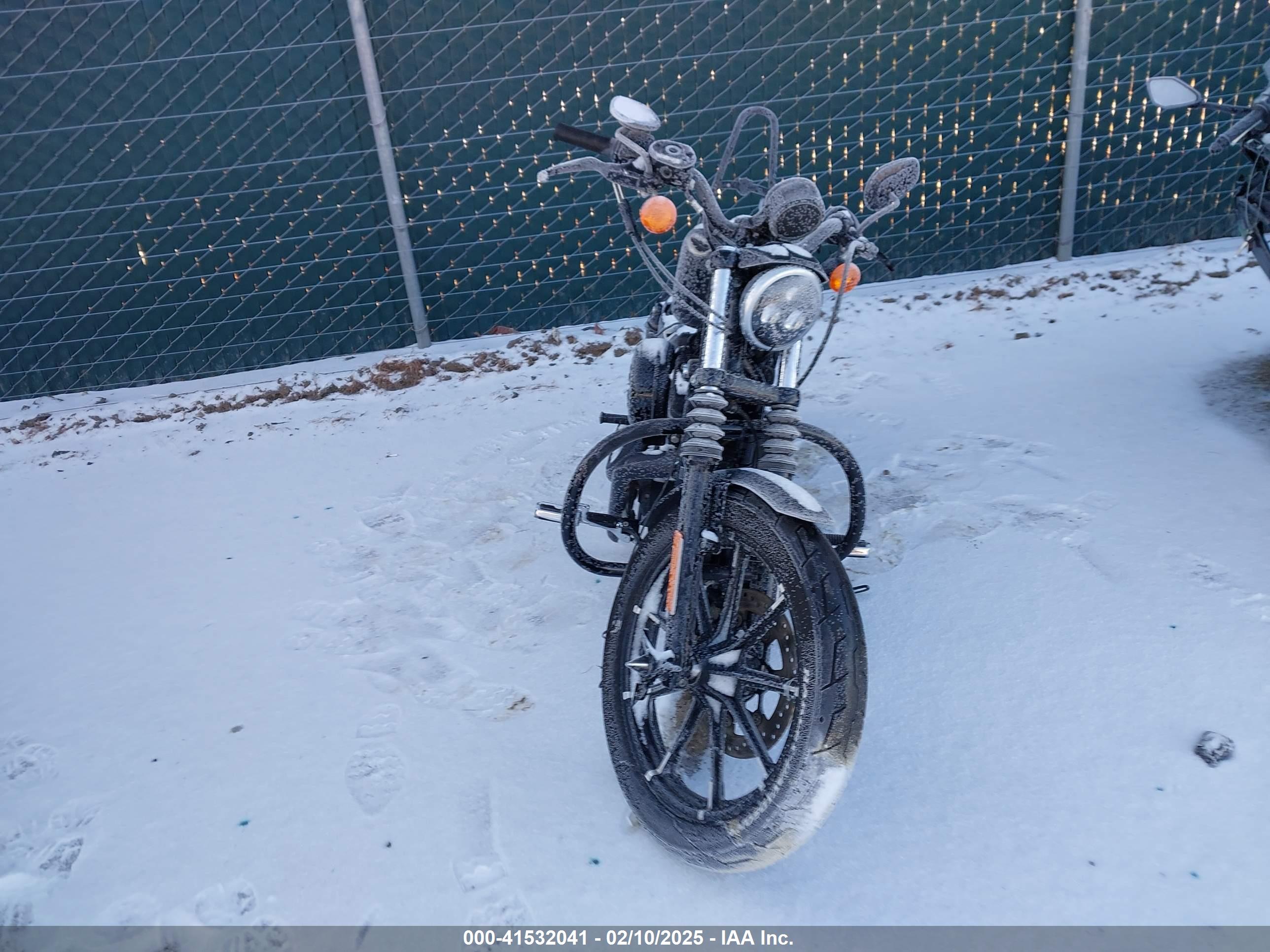 HARLEY-DAVIDSON XL883 image 5