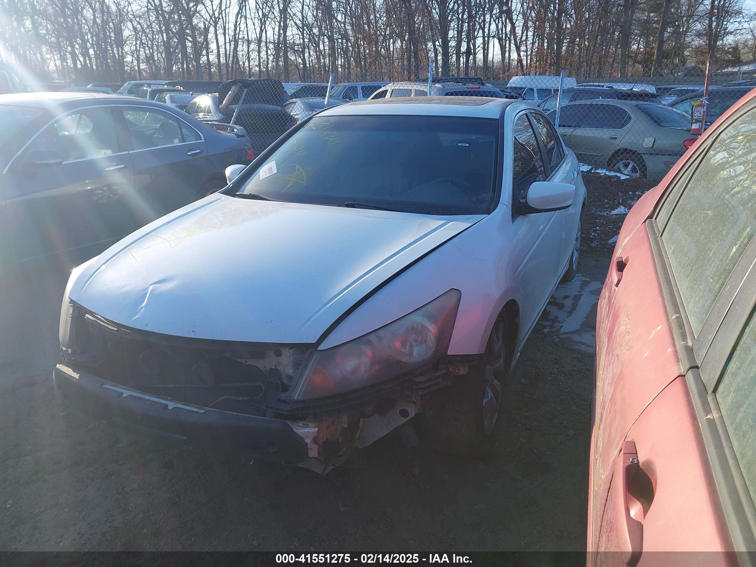 HONDA ACCORD image 2