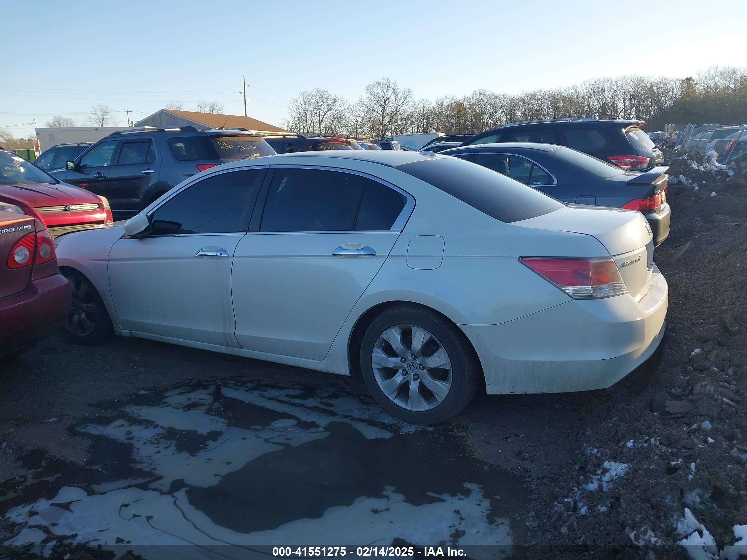 HONDA ACCORD image 3