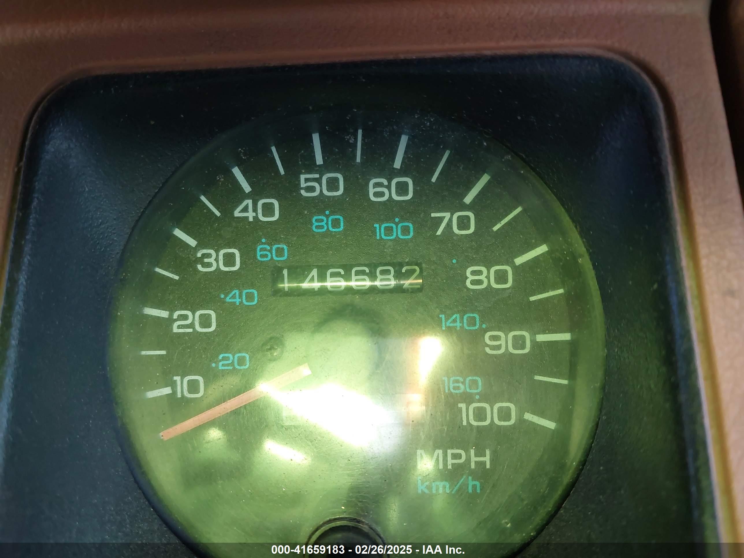 JEEP WRANGLER image 7
