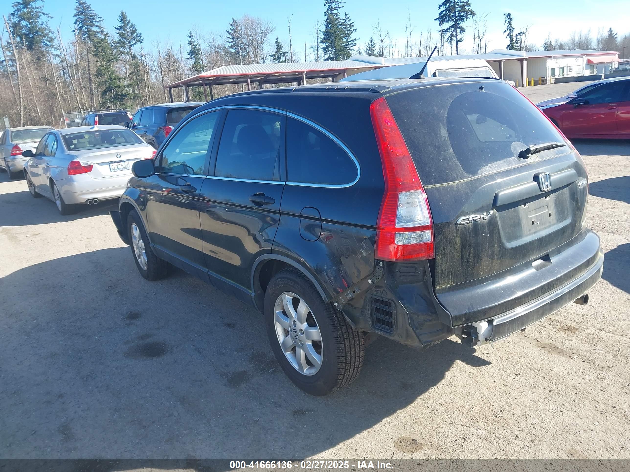 HONDA CR-V image 3
