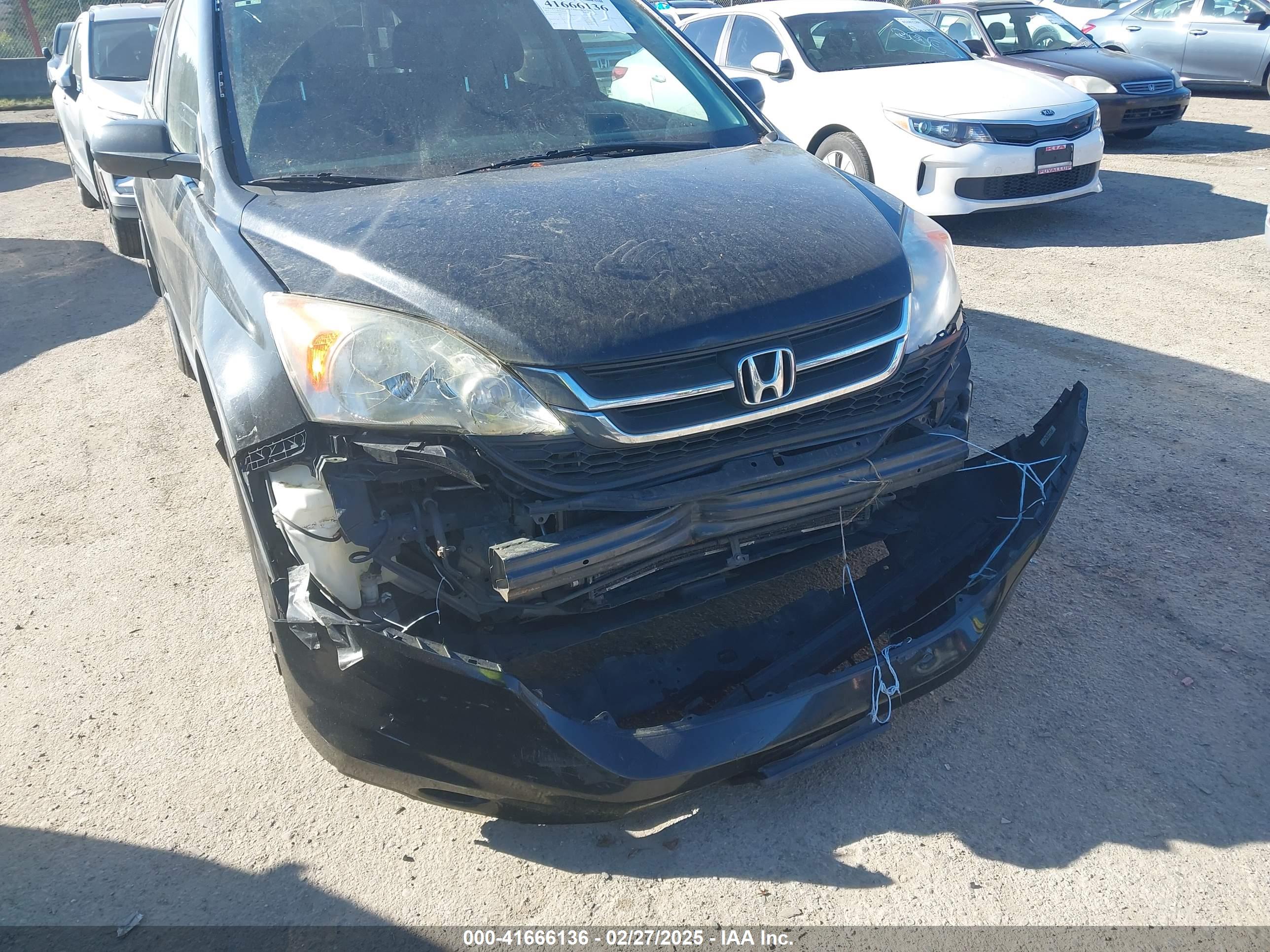 HONDA CR-V image 6
