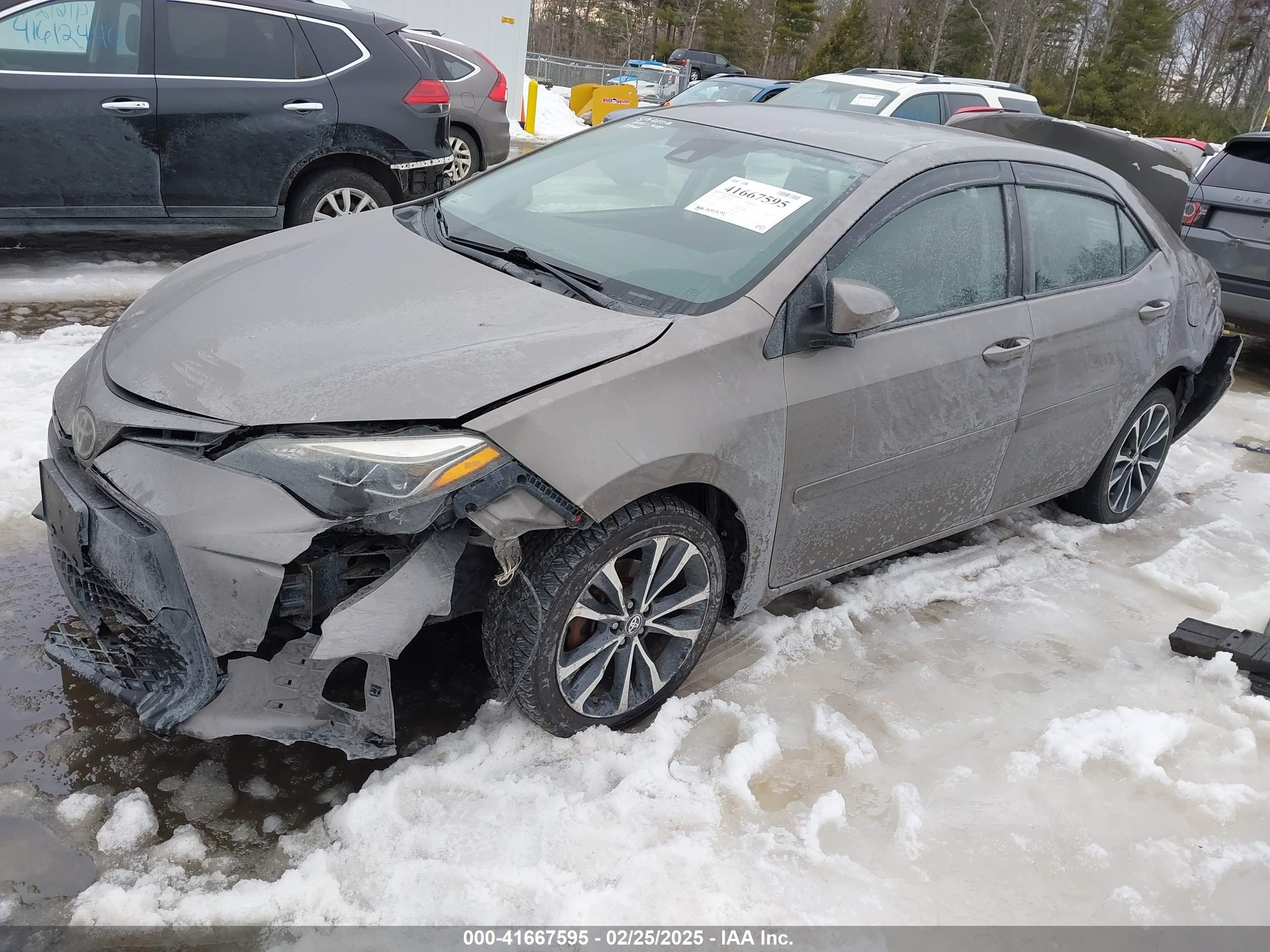 TOYOTA COROLLA image 2