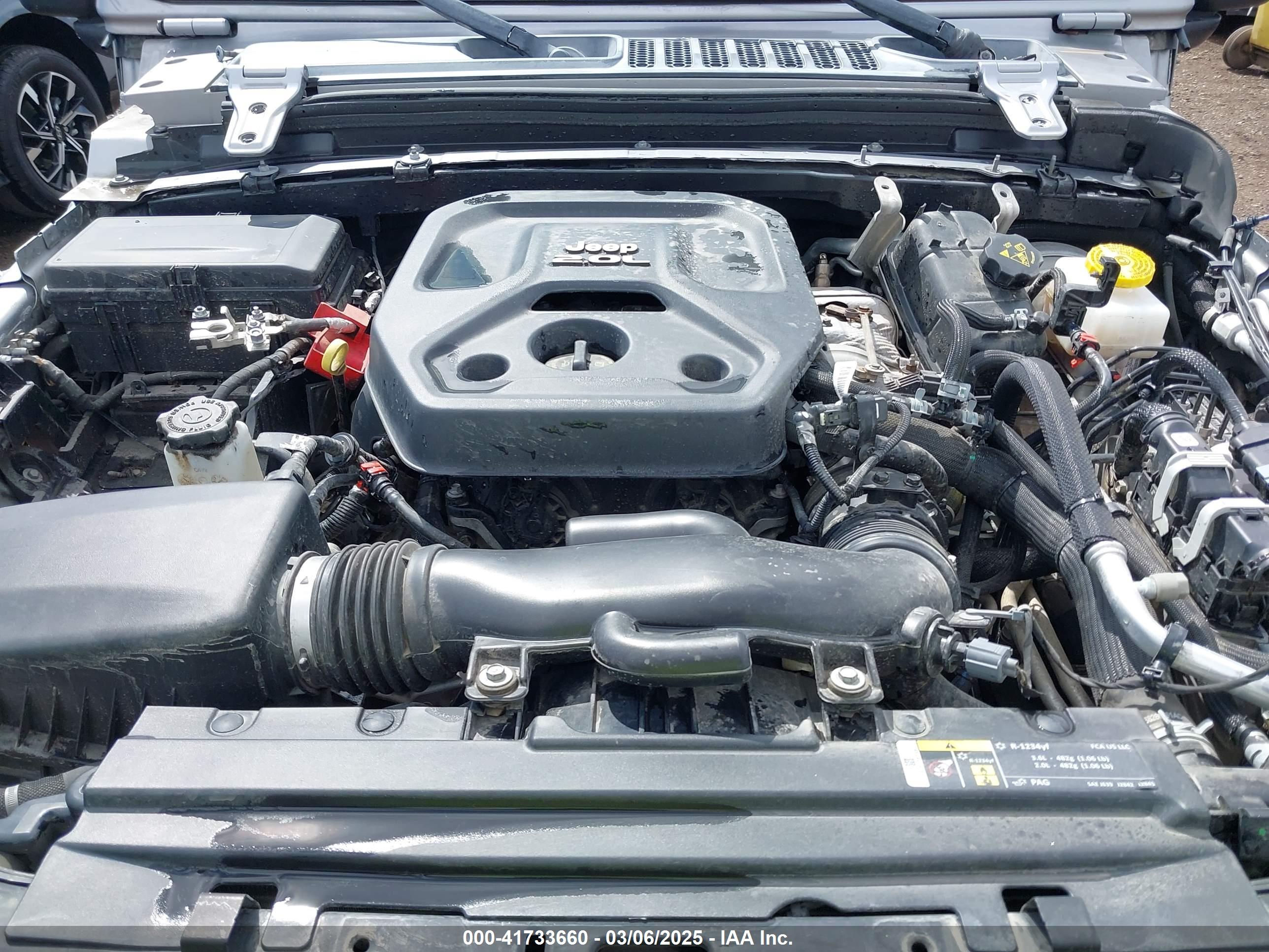JEEP WRANGLER image 10