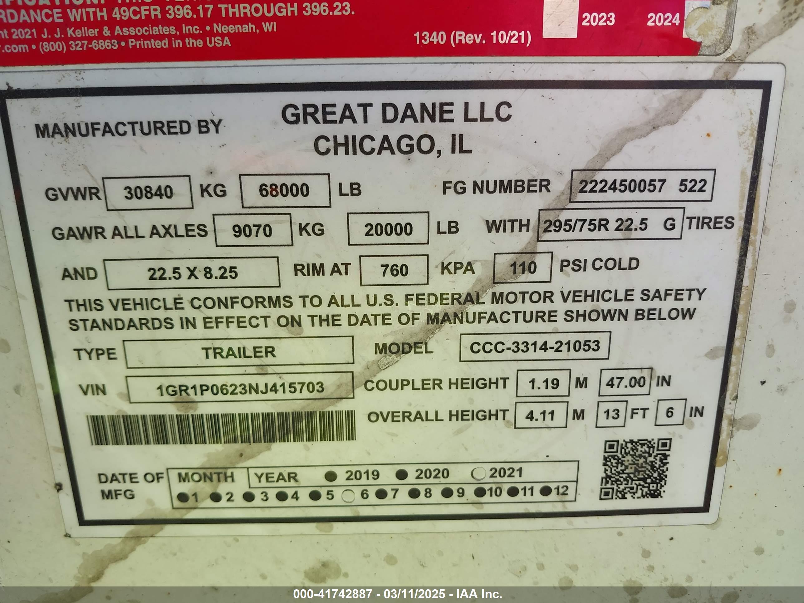 GREAT DANE image 9