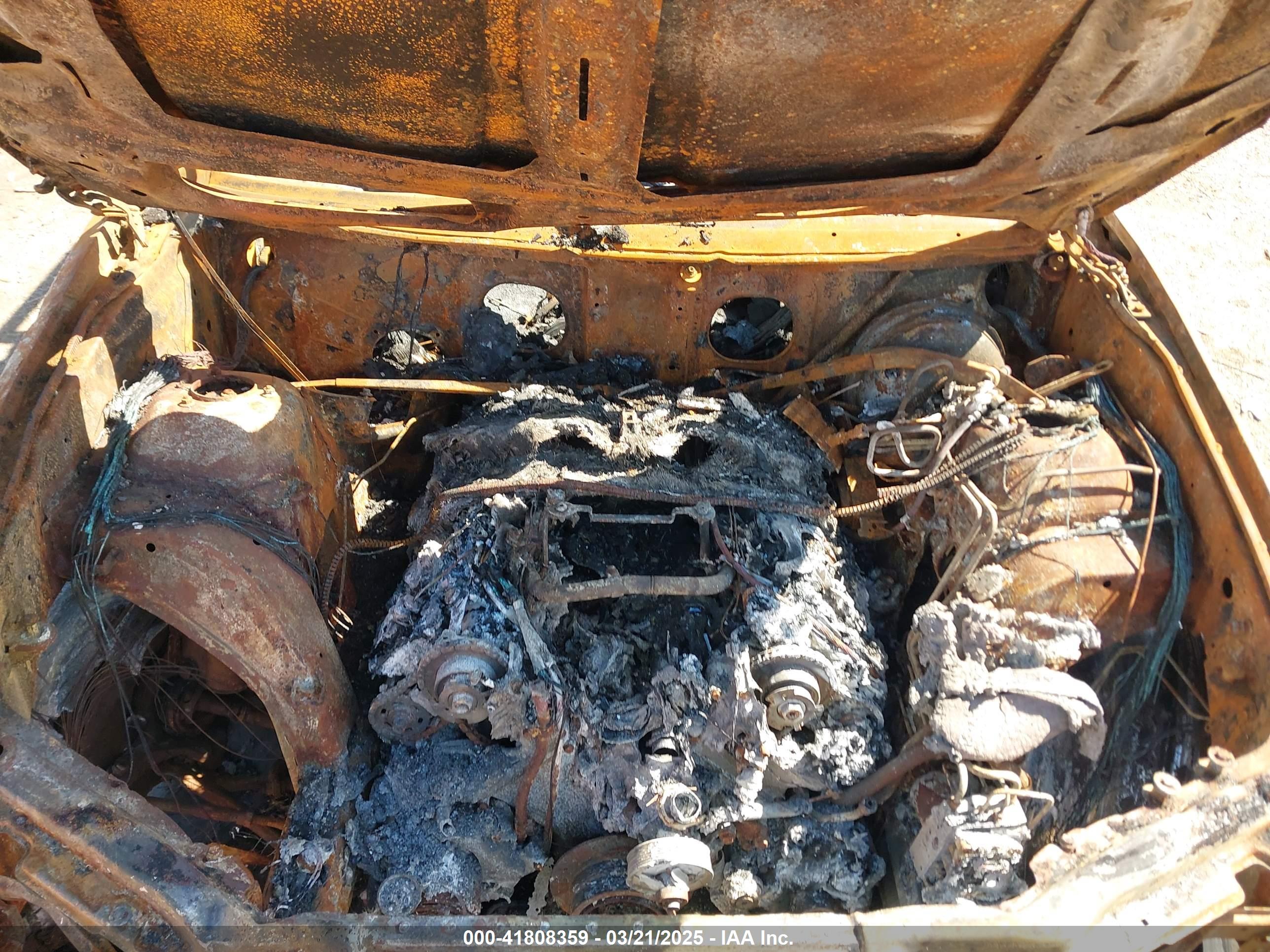BMW X5 image 10