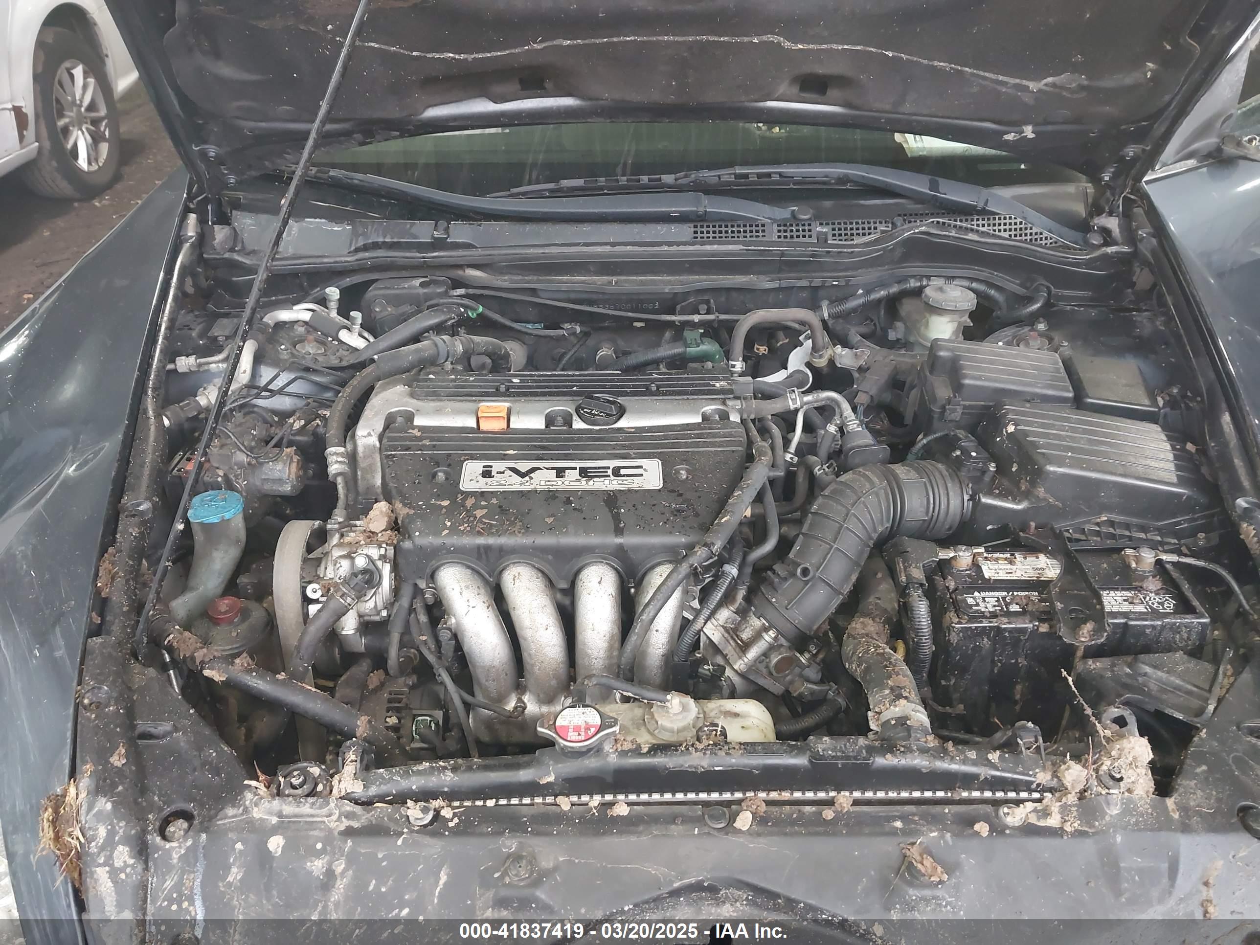 HONDA ACCORD image 10