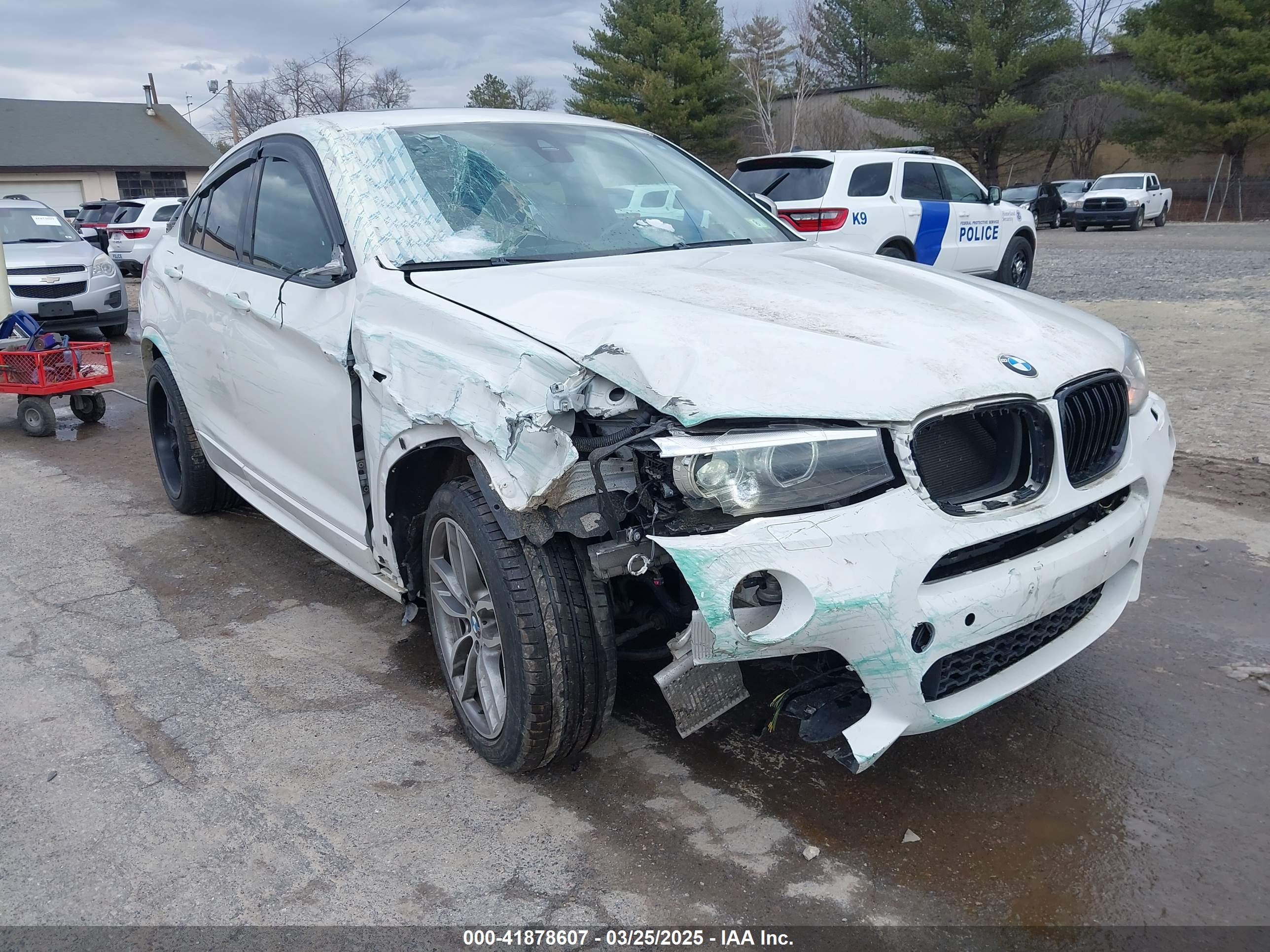 BMW X4 image 6