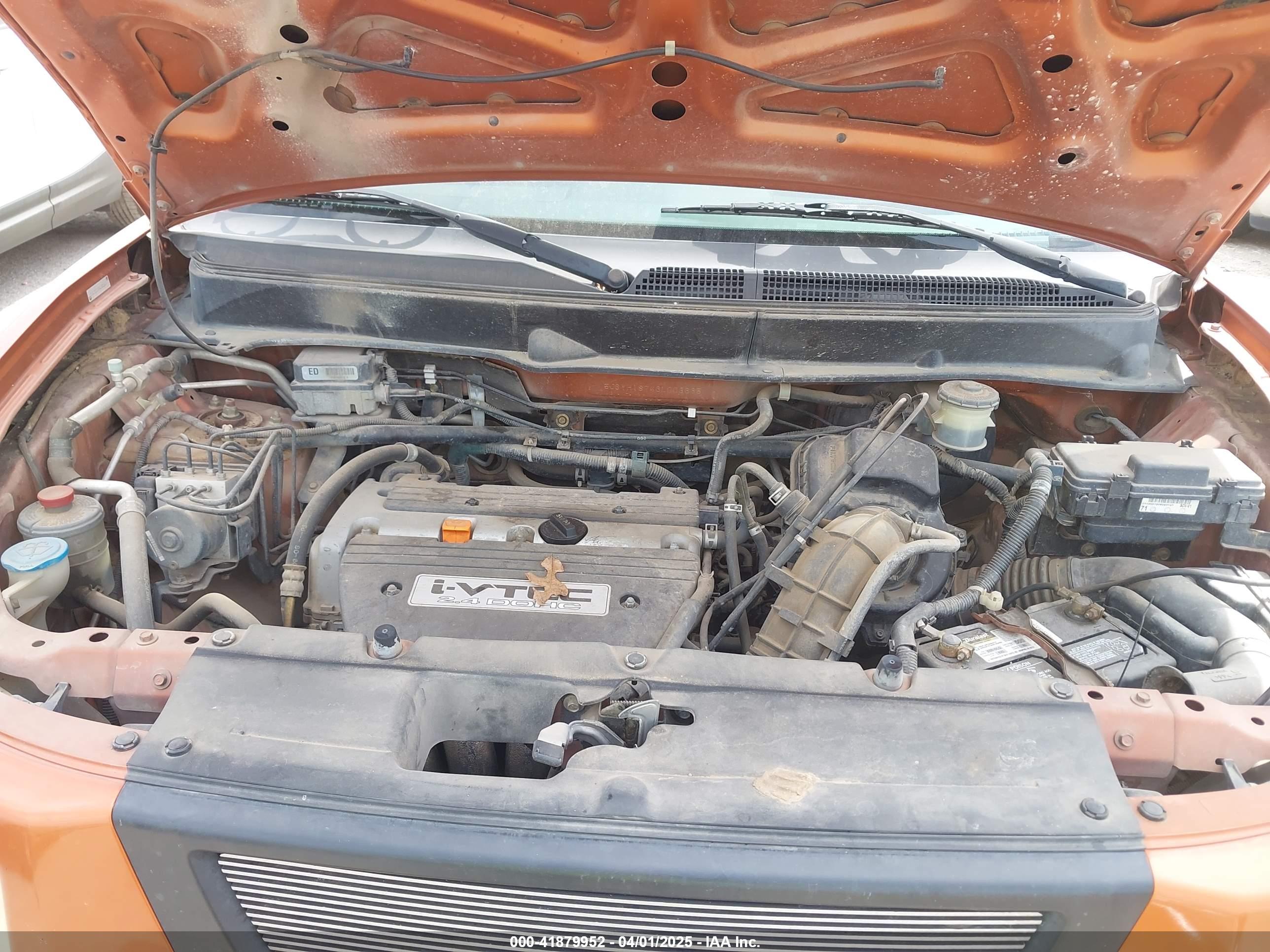 HONDA ELEMENT image 10