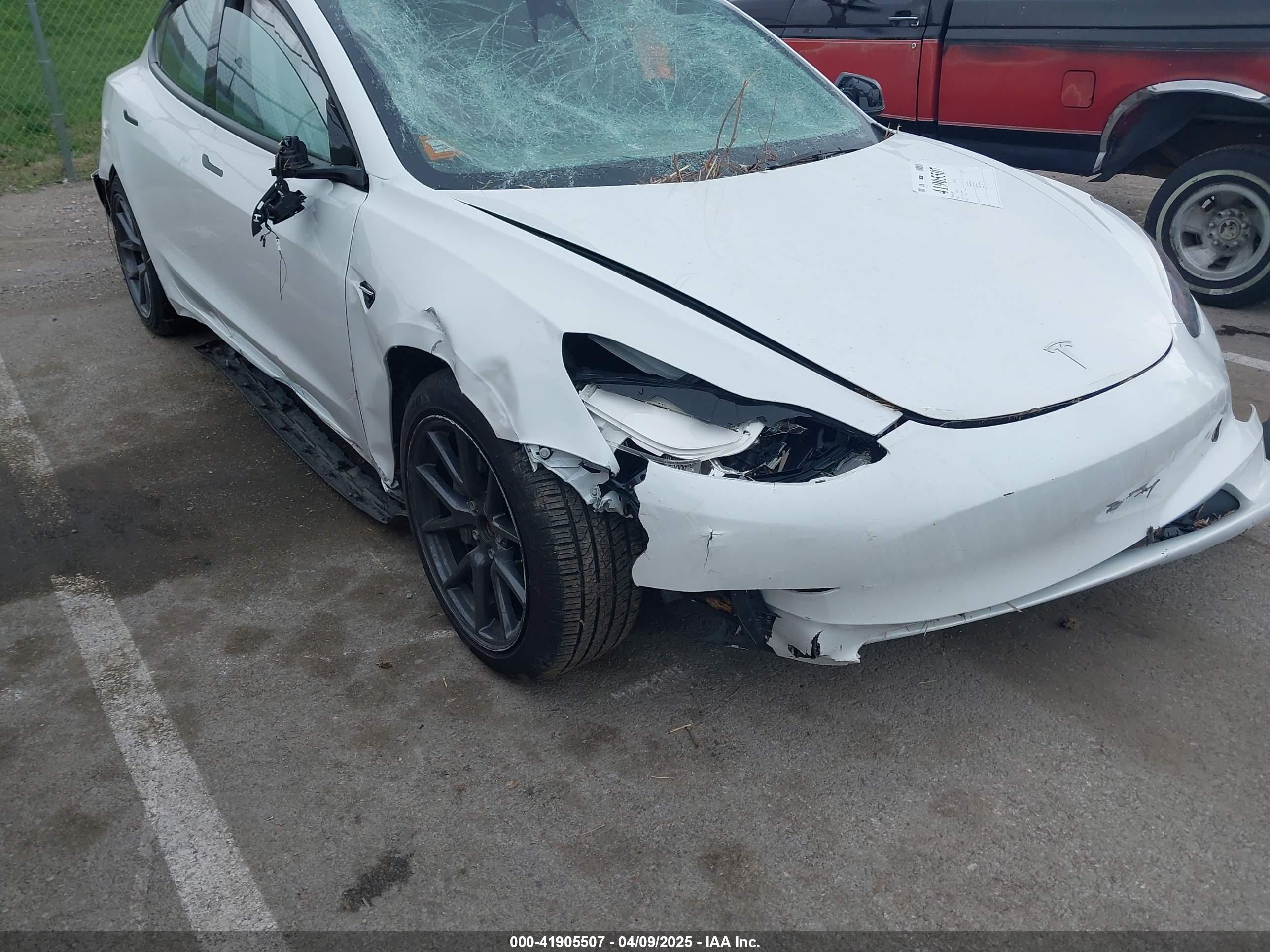 TESLA MODEL image 6