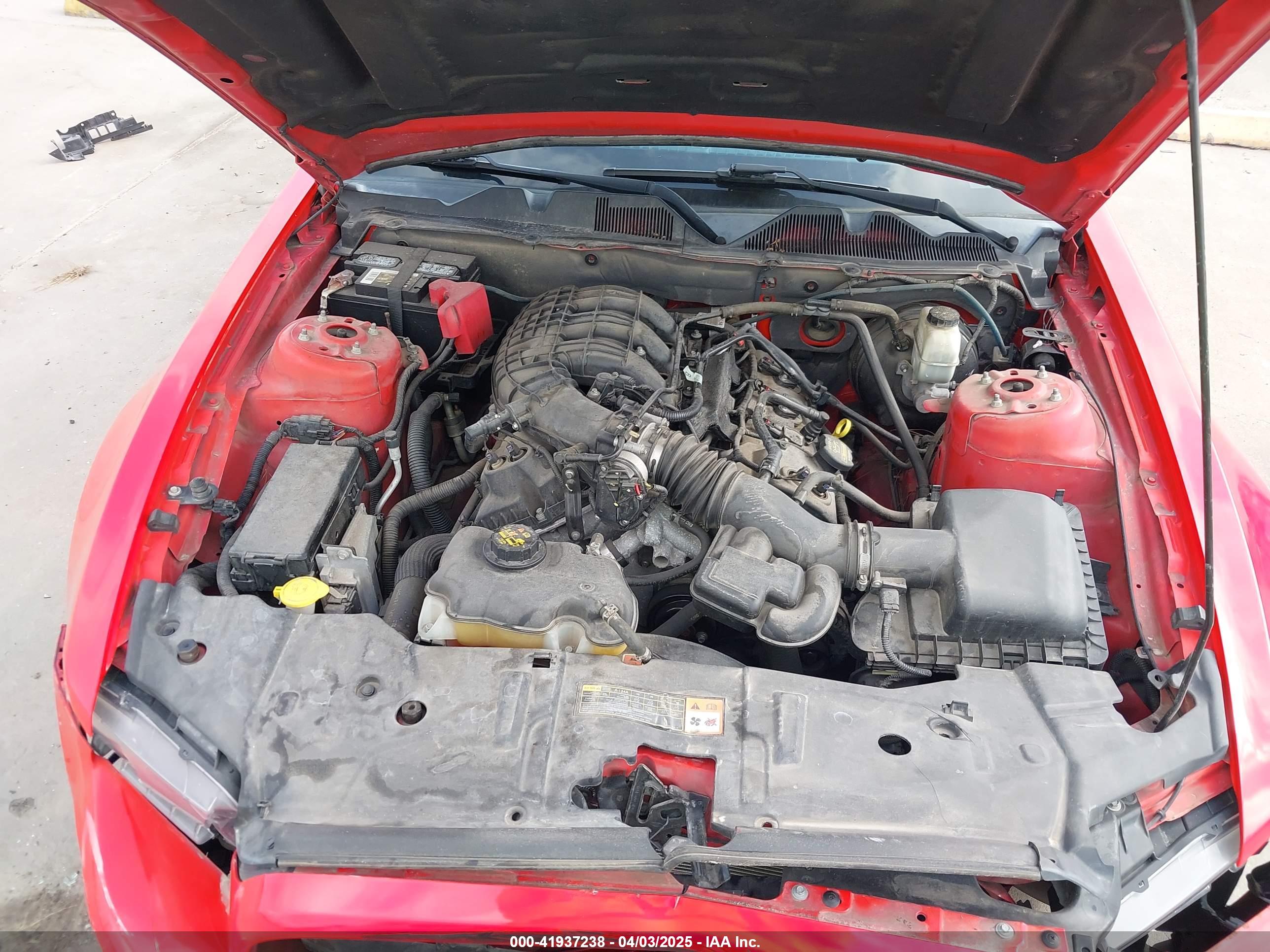 FORD MUSTANG image 10