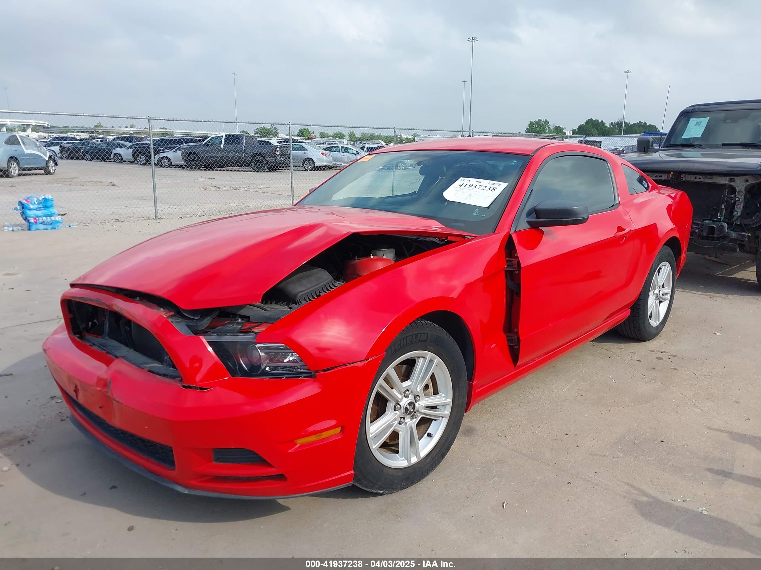 FORD MUSTANG image 2