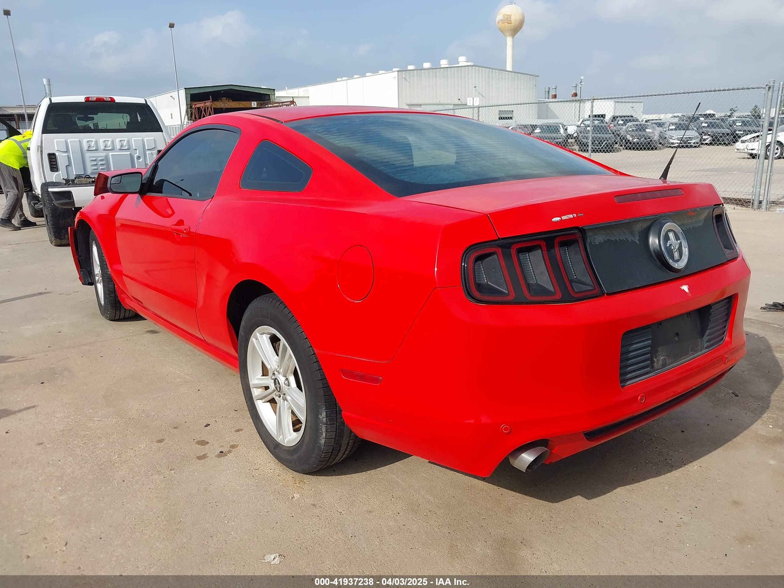 FORD MUSTANG image 3