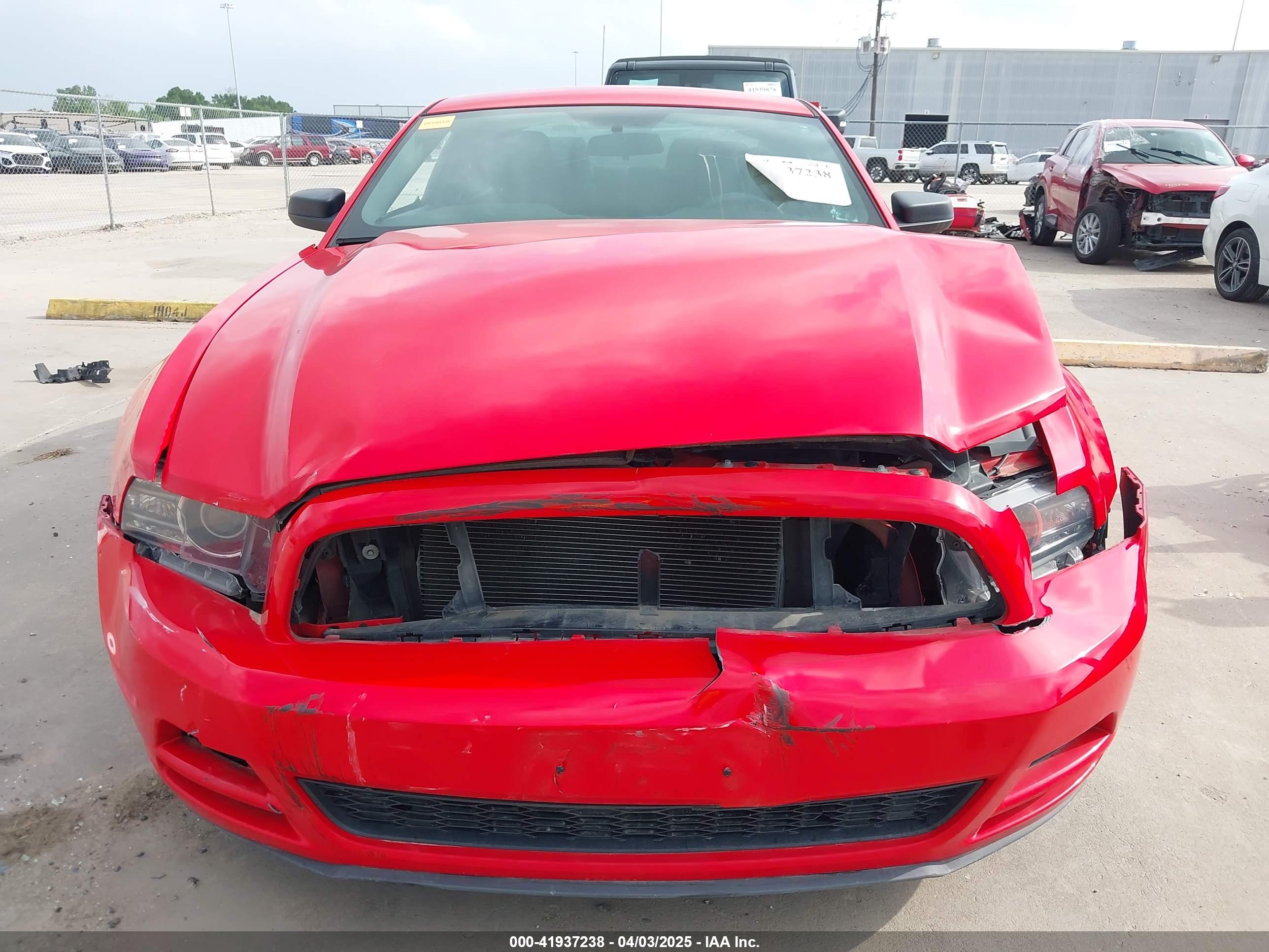 FORD MUSTANG image 6
