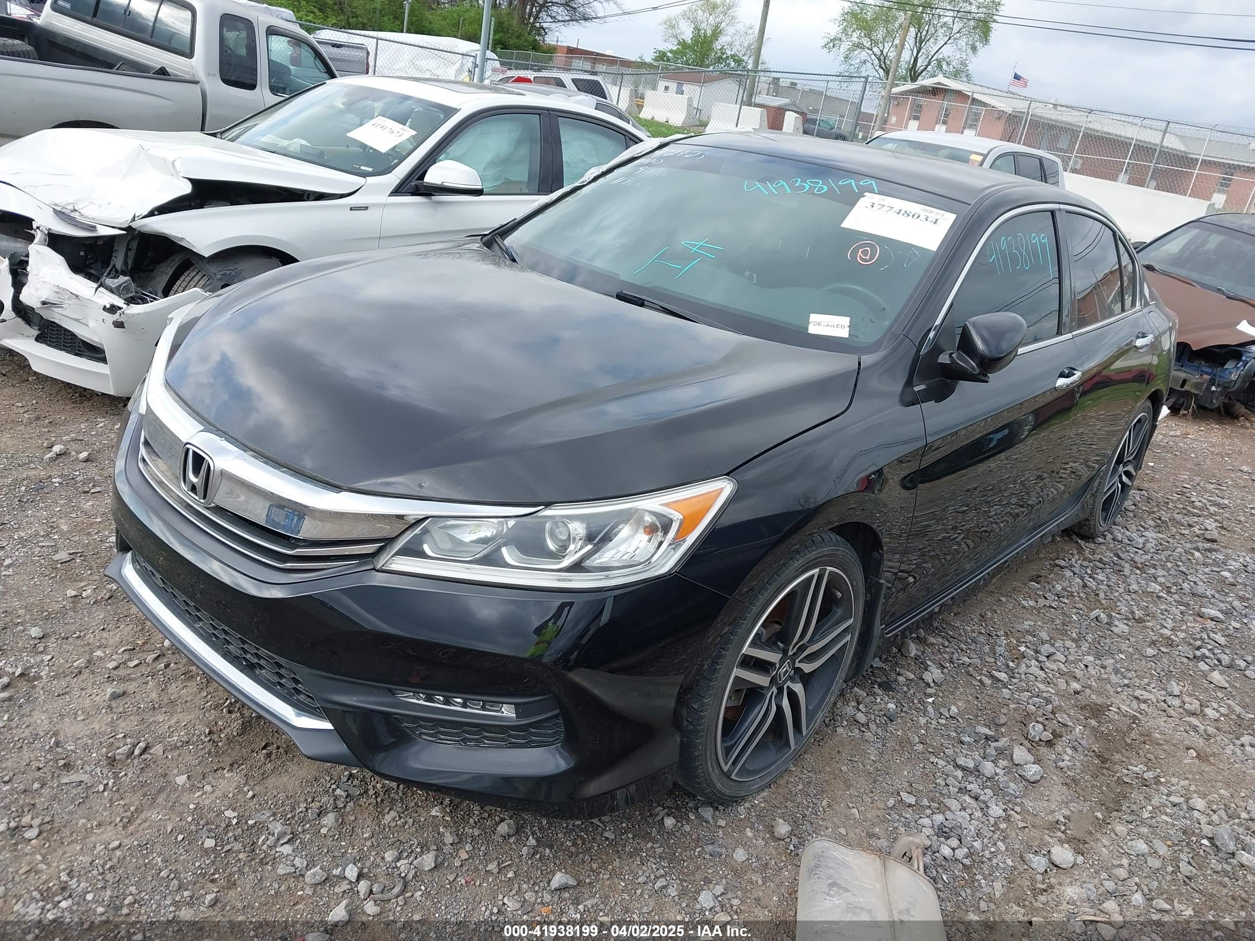HONDA ACCORD image 2