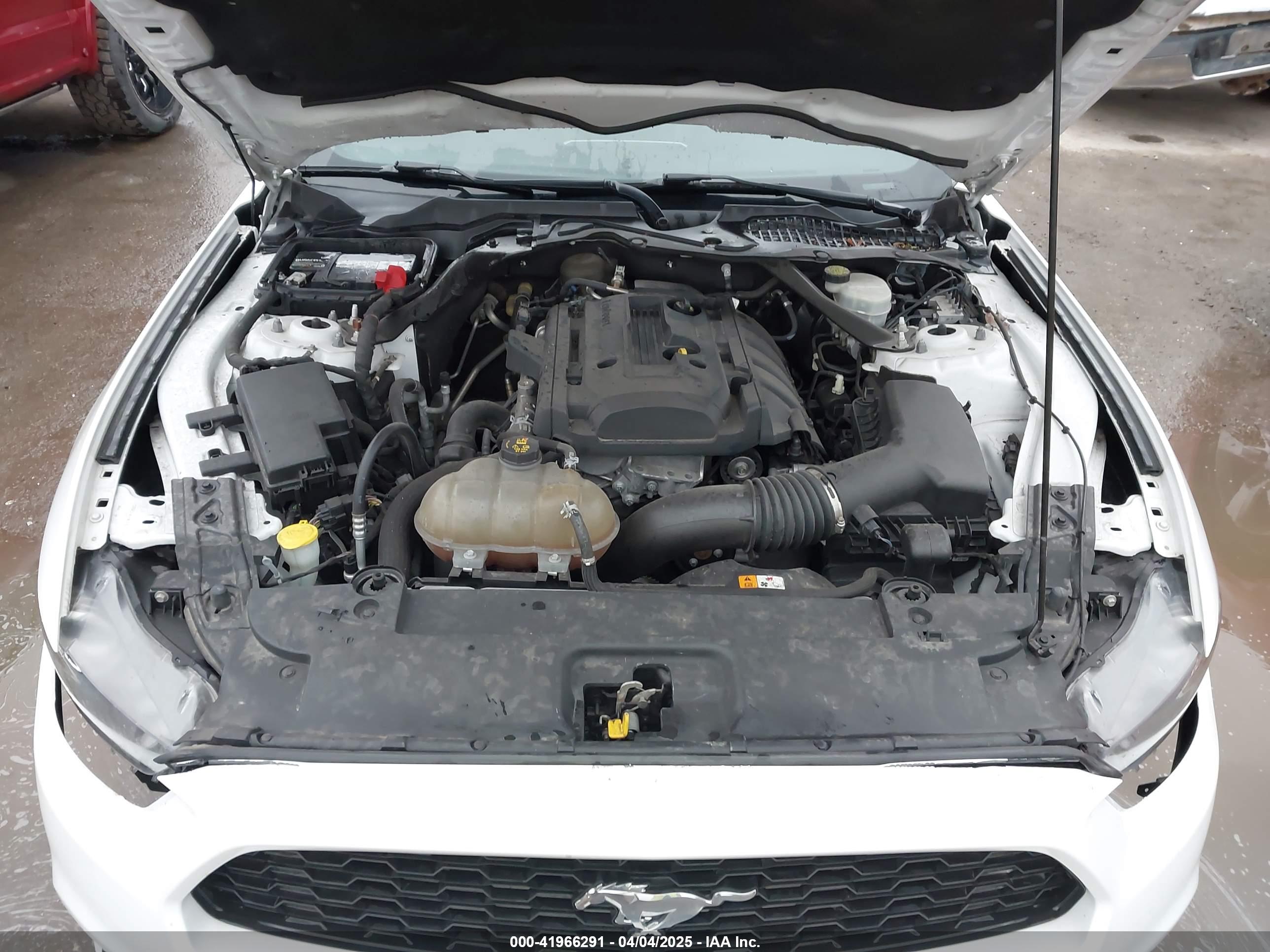 FORD MUSTANG image 10
