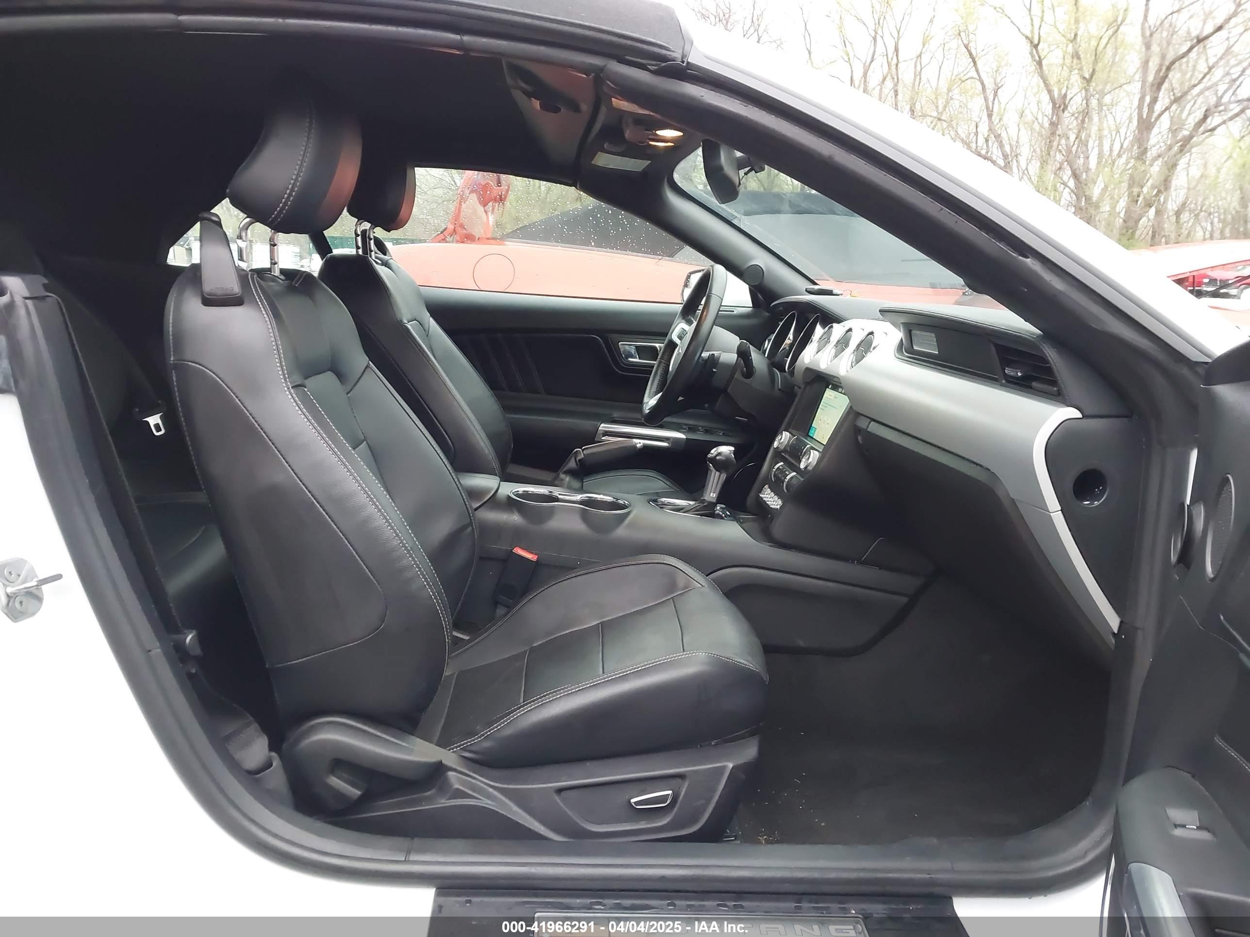 FORD MUSTANG image 5