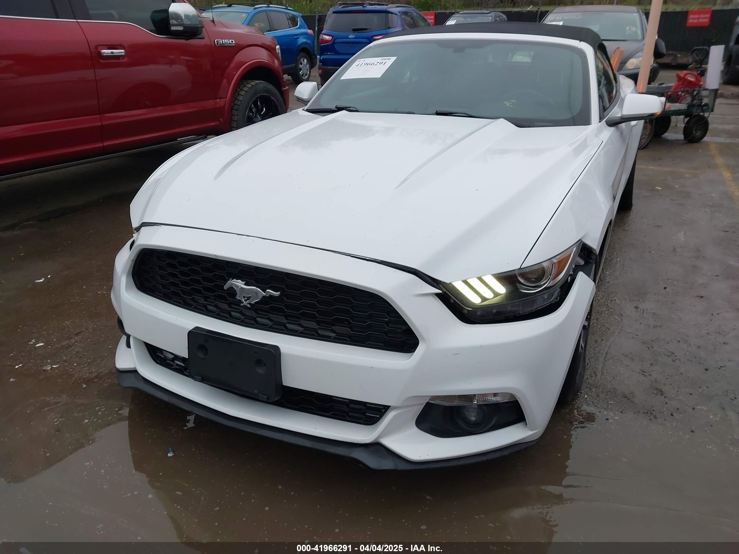 FORD MUSTANG image 6