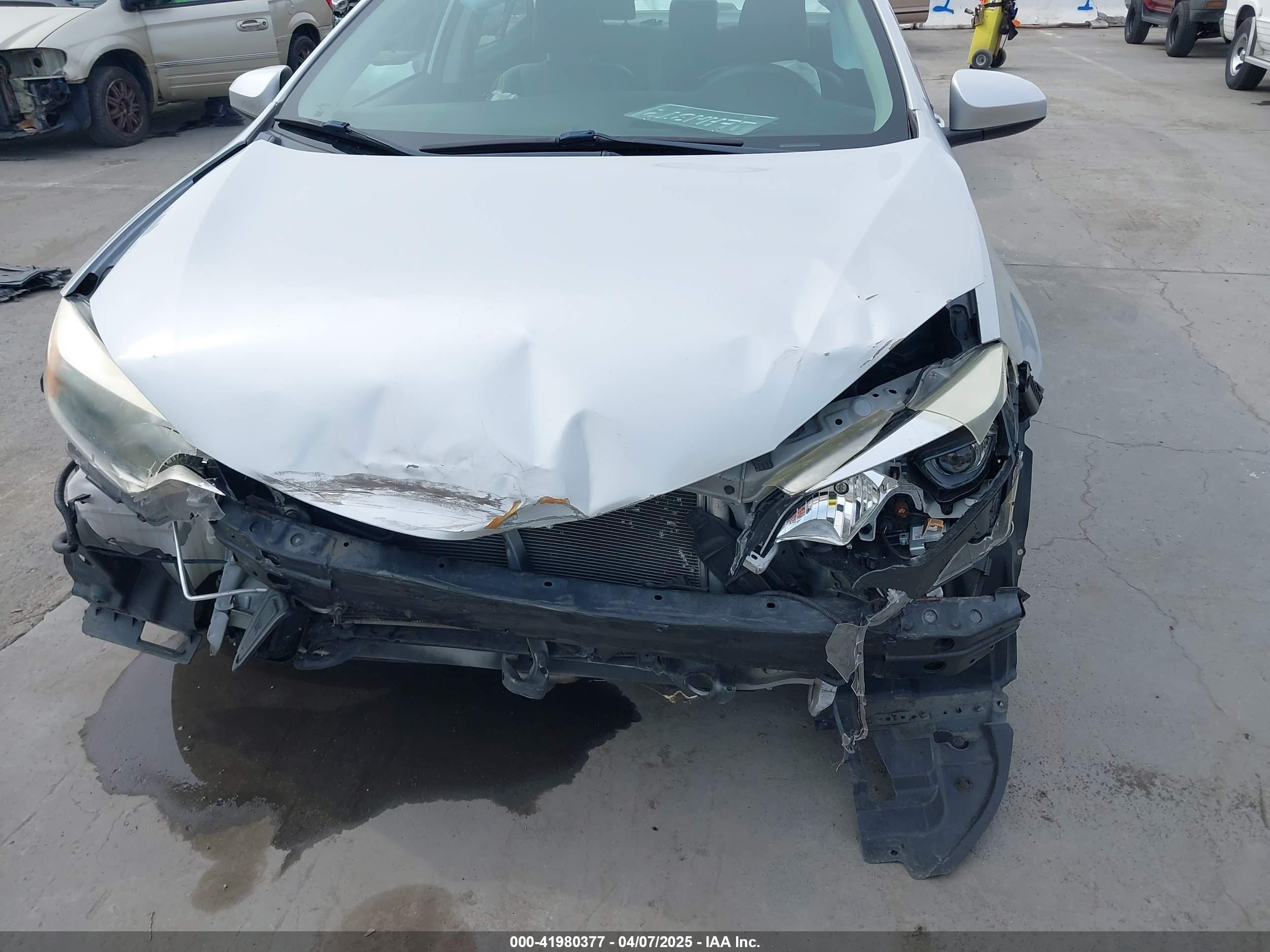 TOYOTA COROLLA image 6