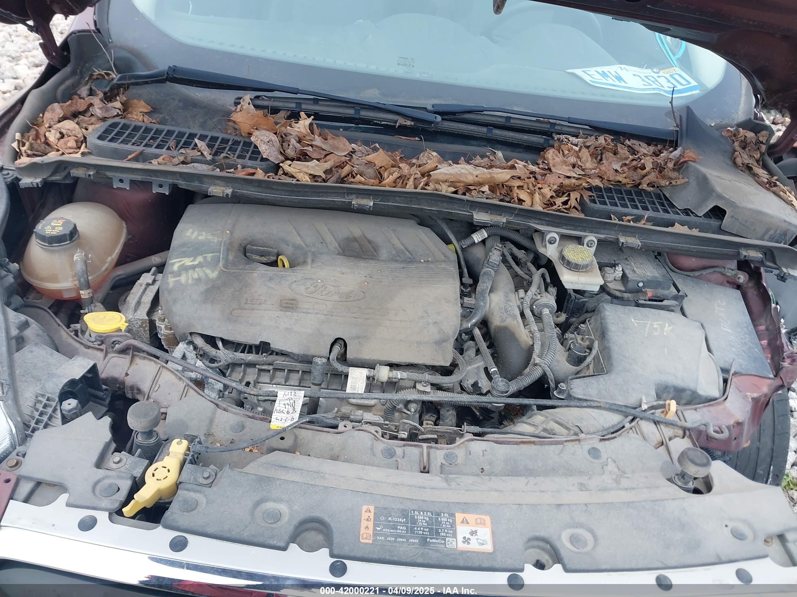 FORD ESCAPE image 10