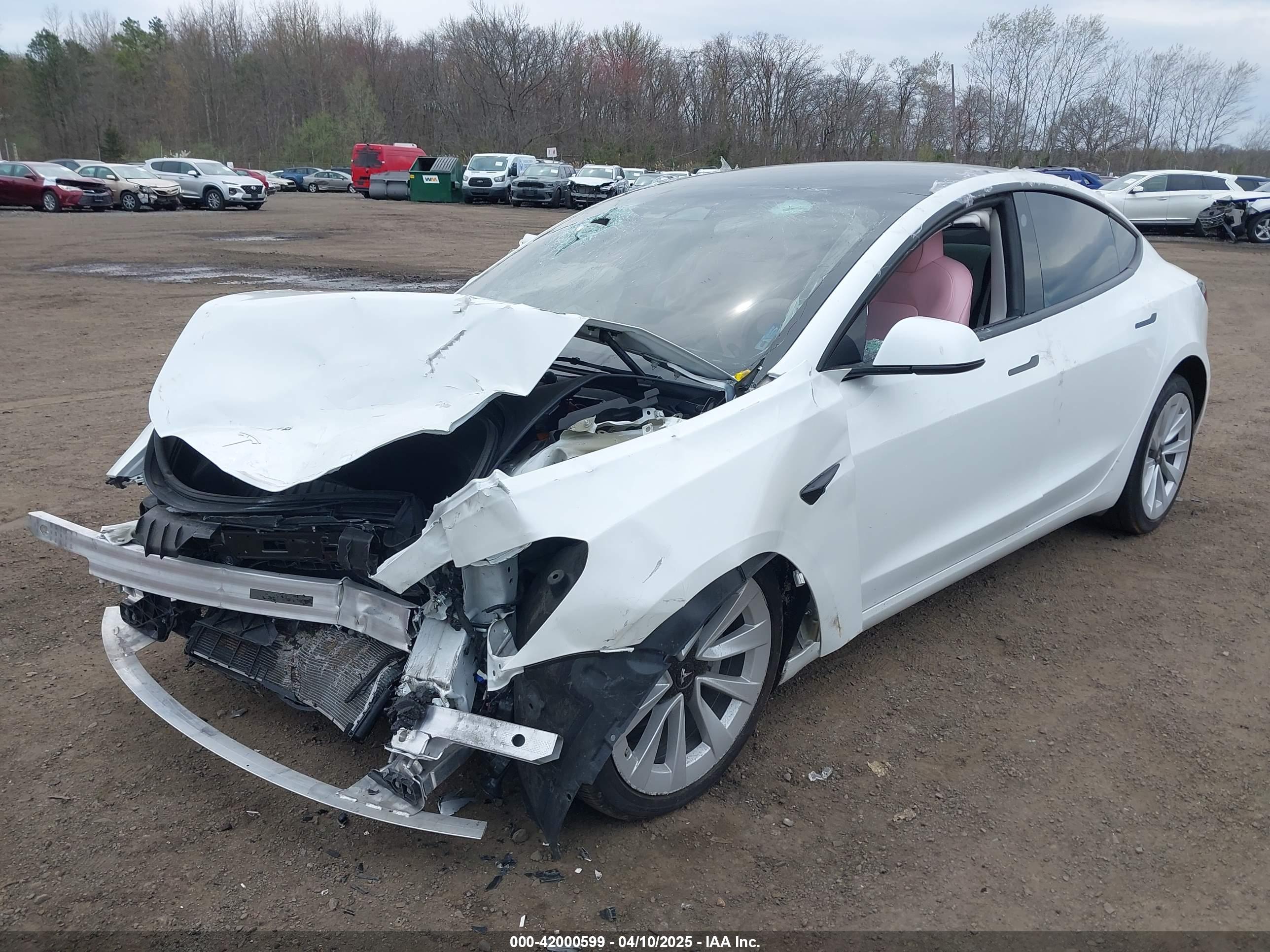TESLA MODEL image 6