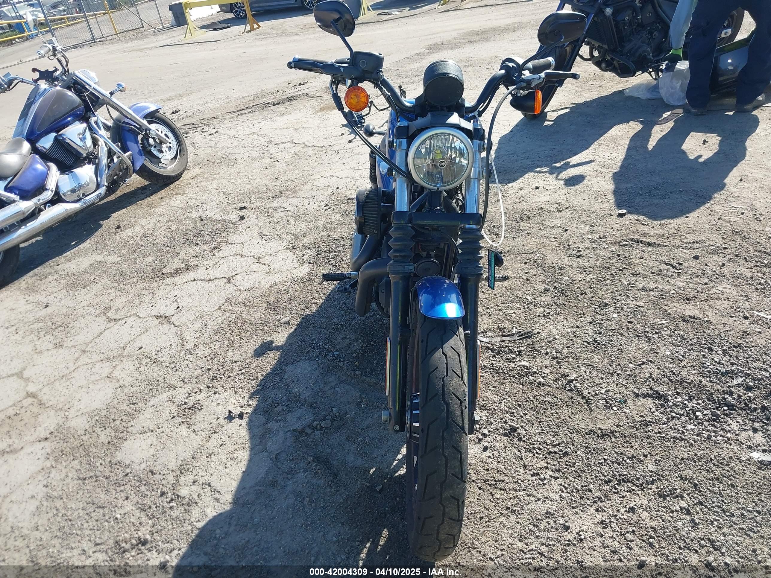 HARLEY-DAVIDSON XL883 image 5