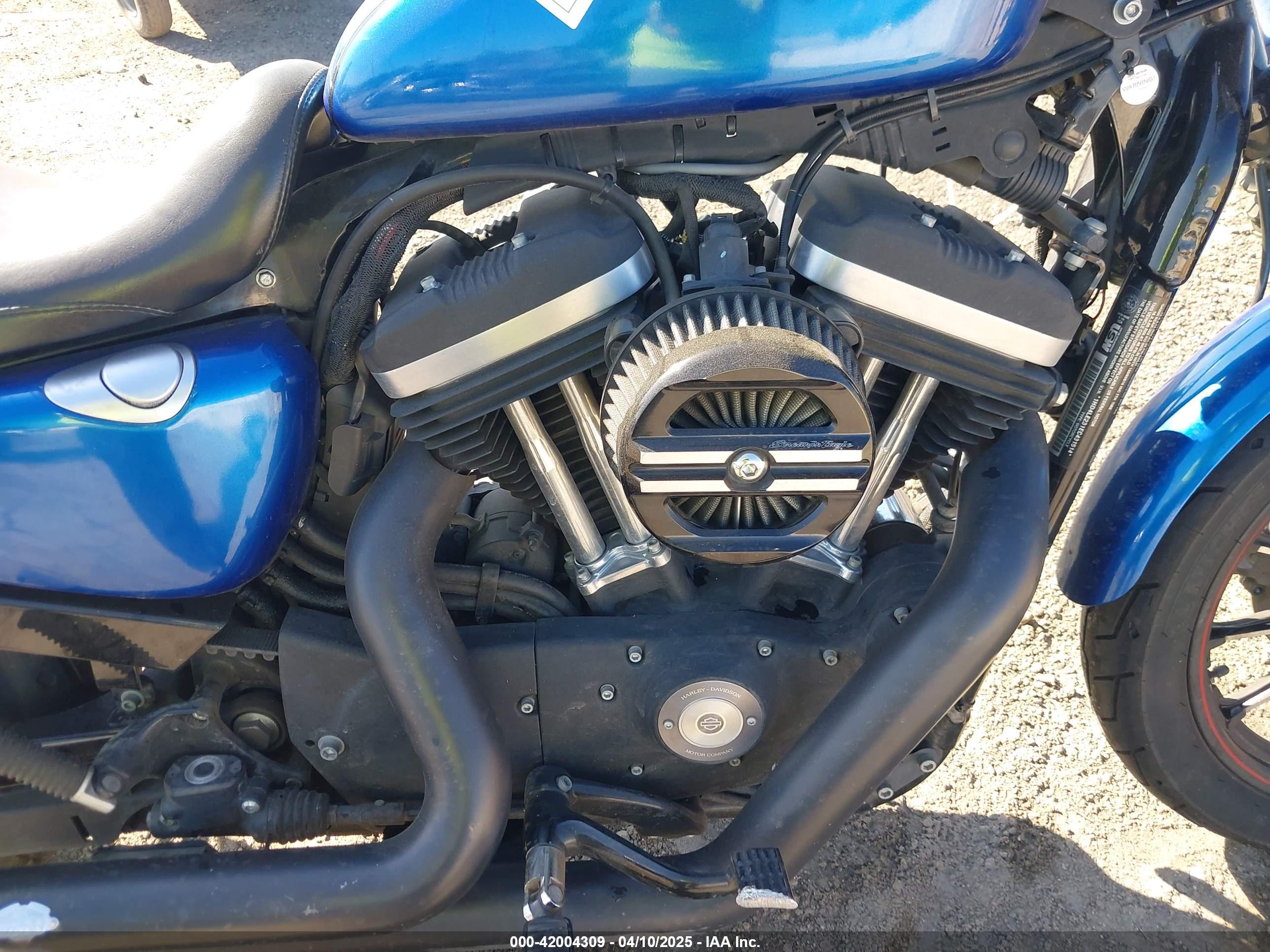 HARLEY-DAVIDSON XL883 image 8