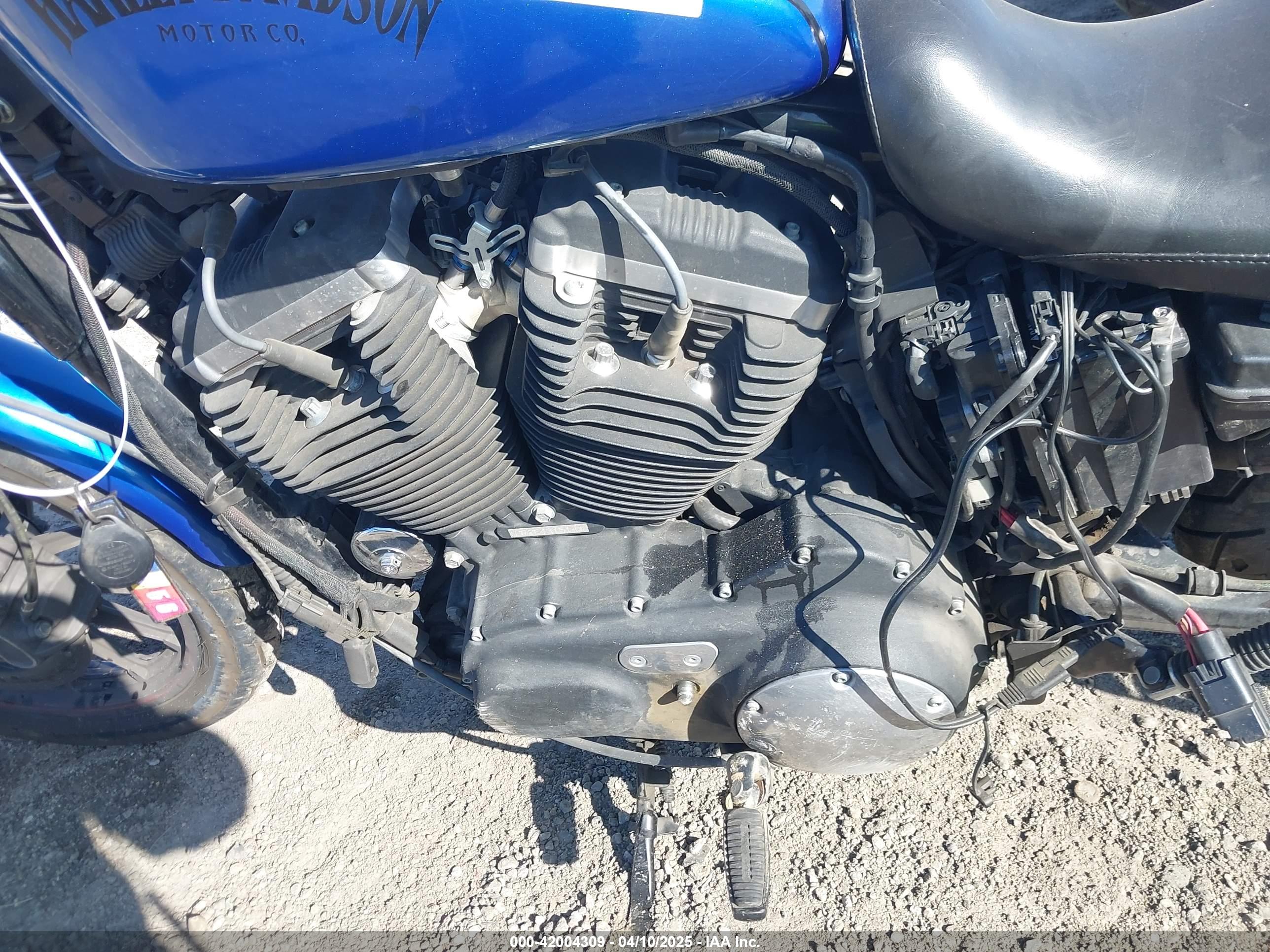 HARLEY-DAVIDSON XL883 image 9