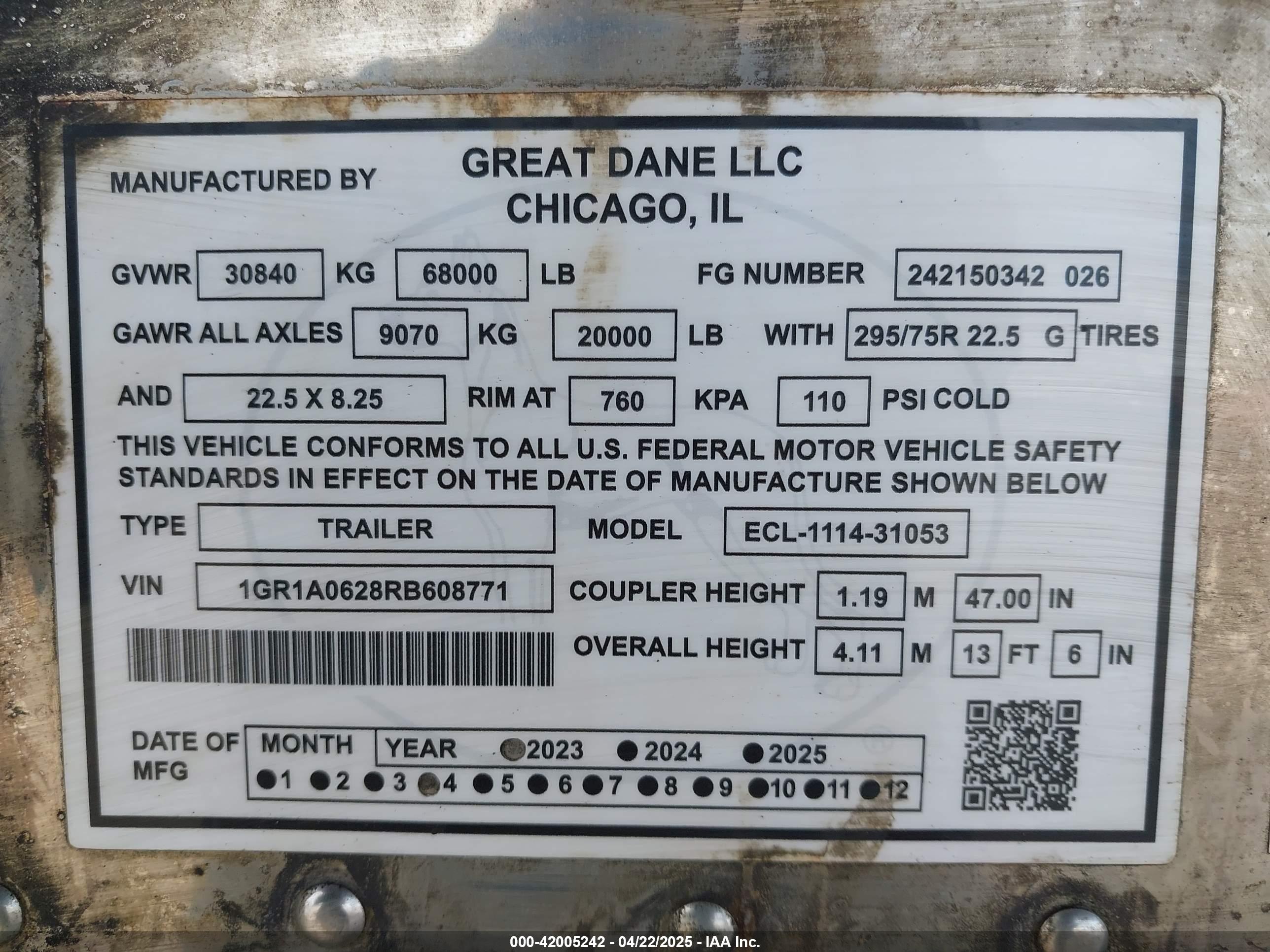 GREAT DANE image 9
